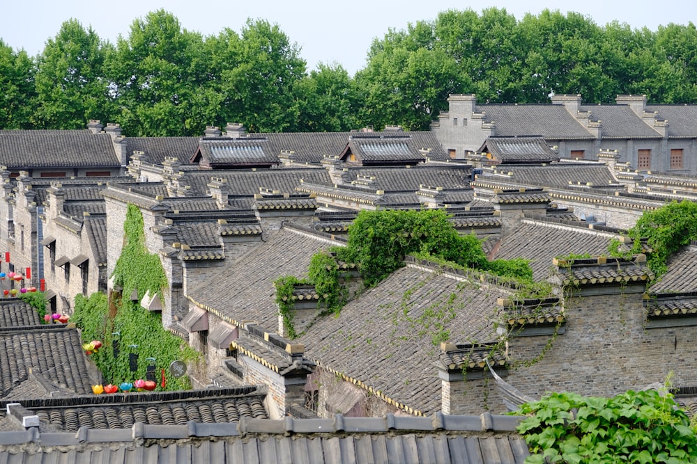 a group of houses with trees in the back