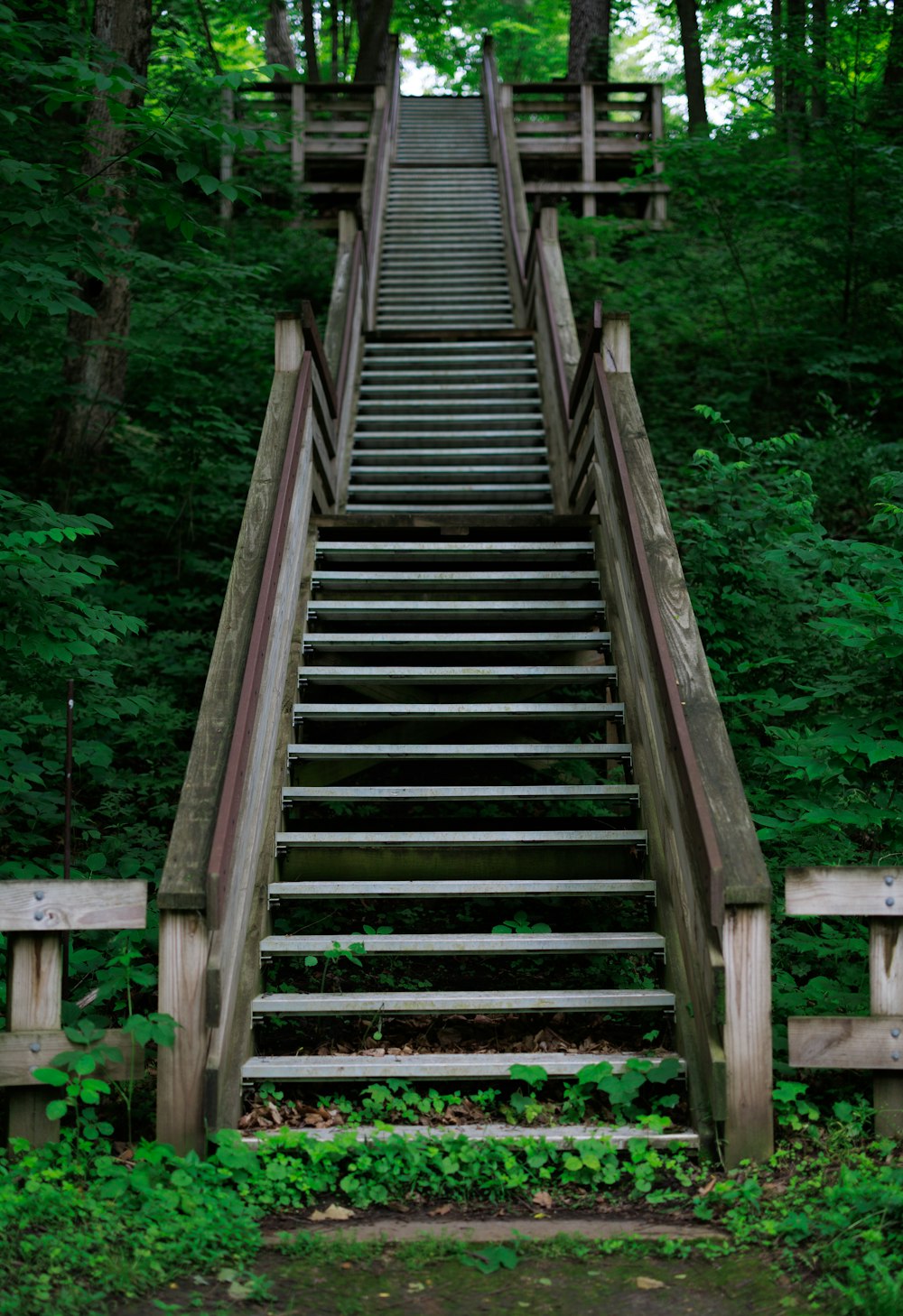 a wooden staircase in a forest