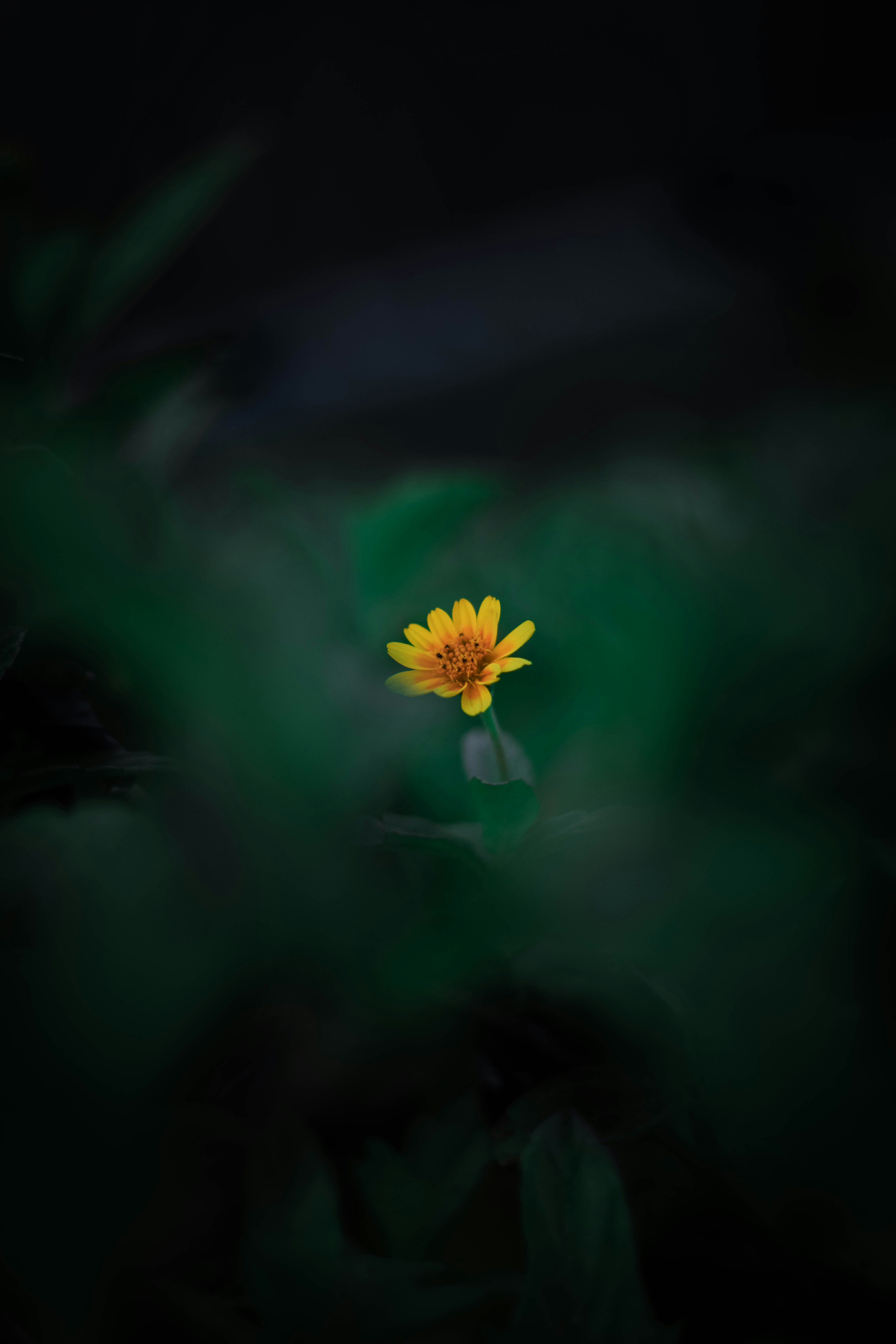 Photo by gabrielfotos