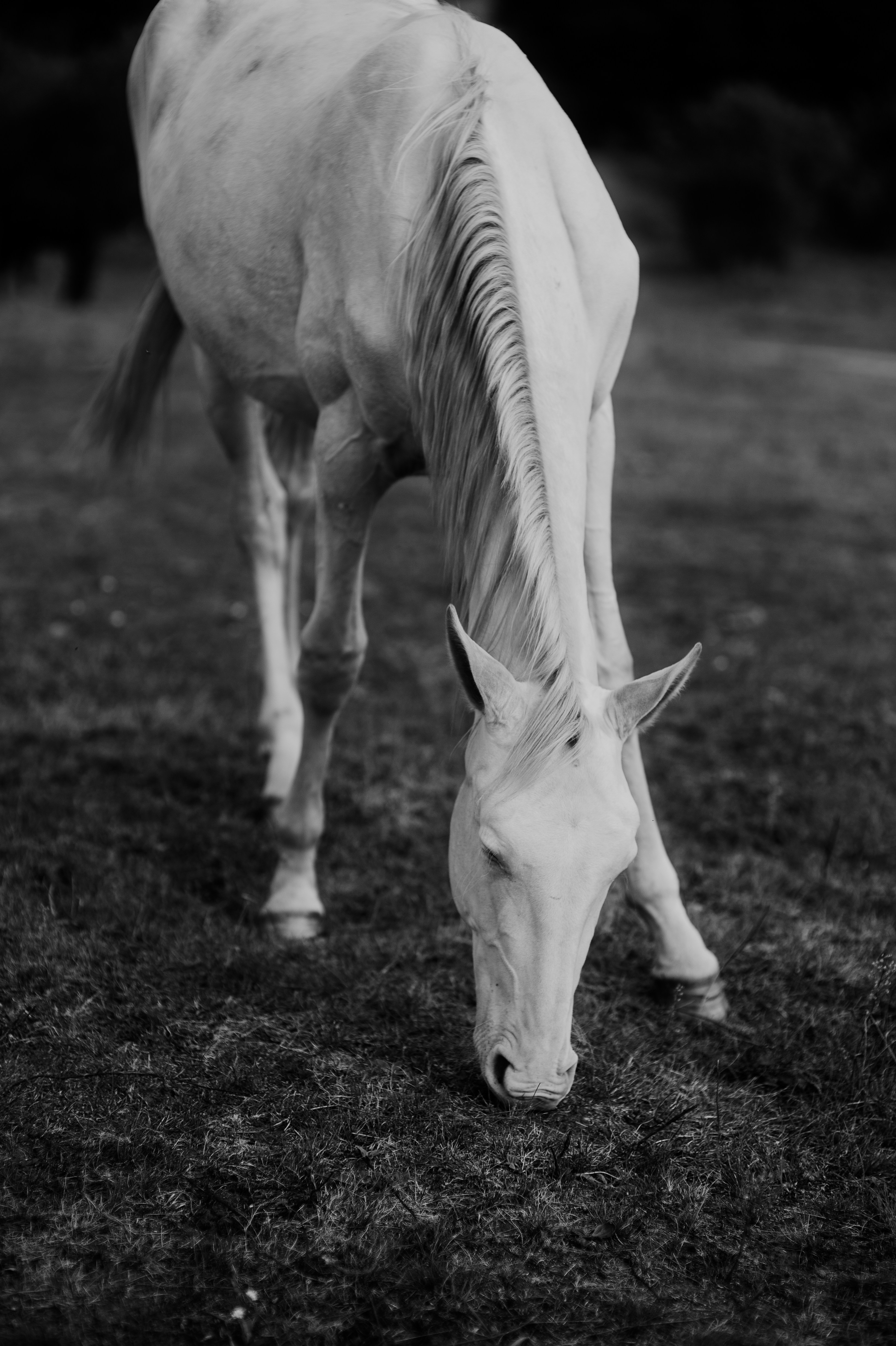 Photo by evil_bumblebee