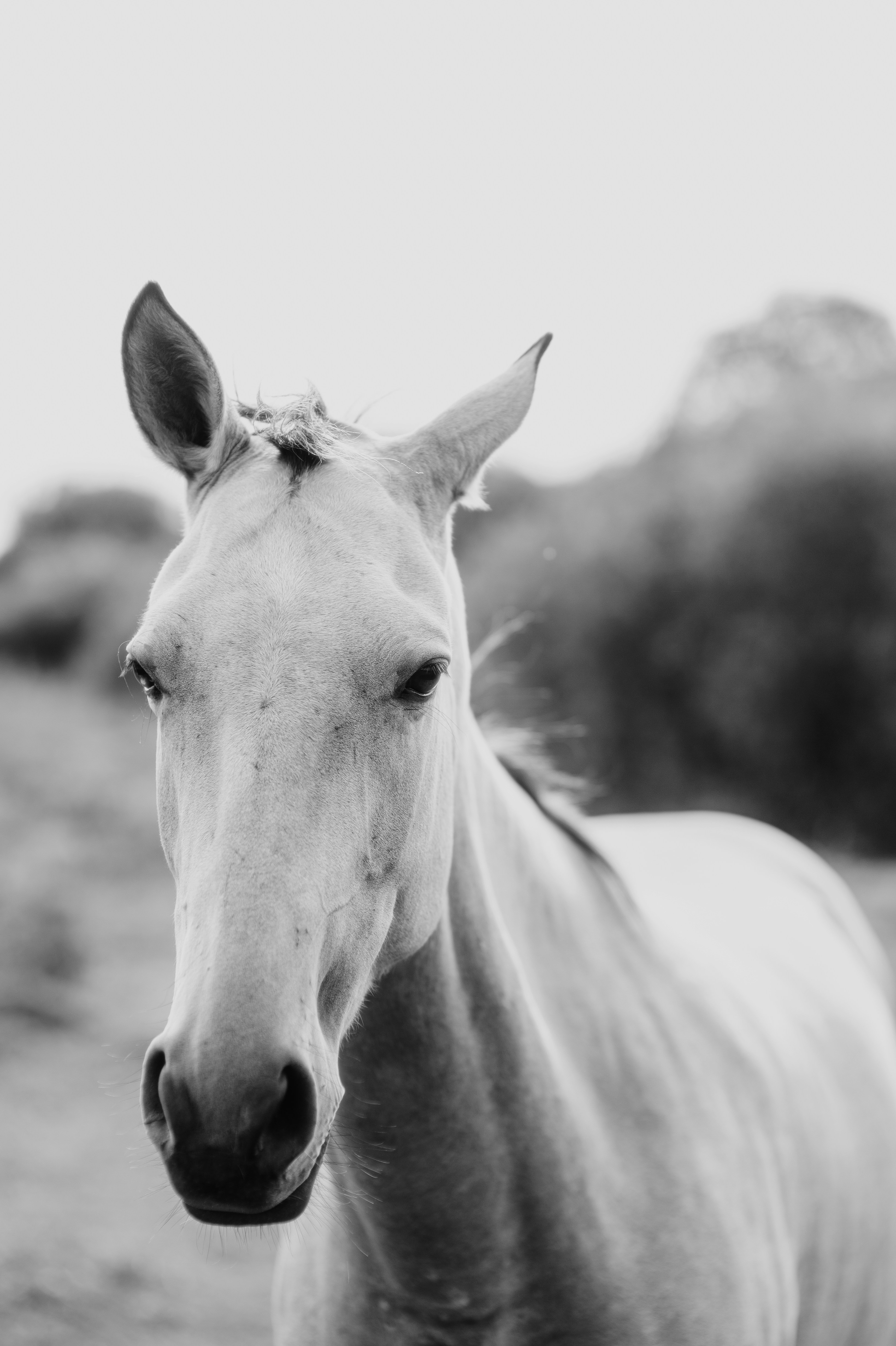 Photo by evil_bumblebee