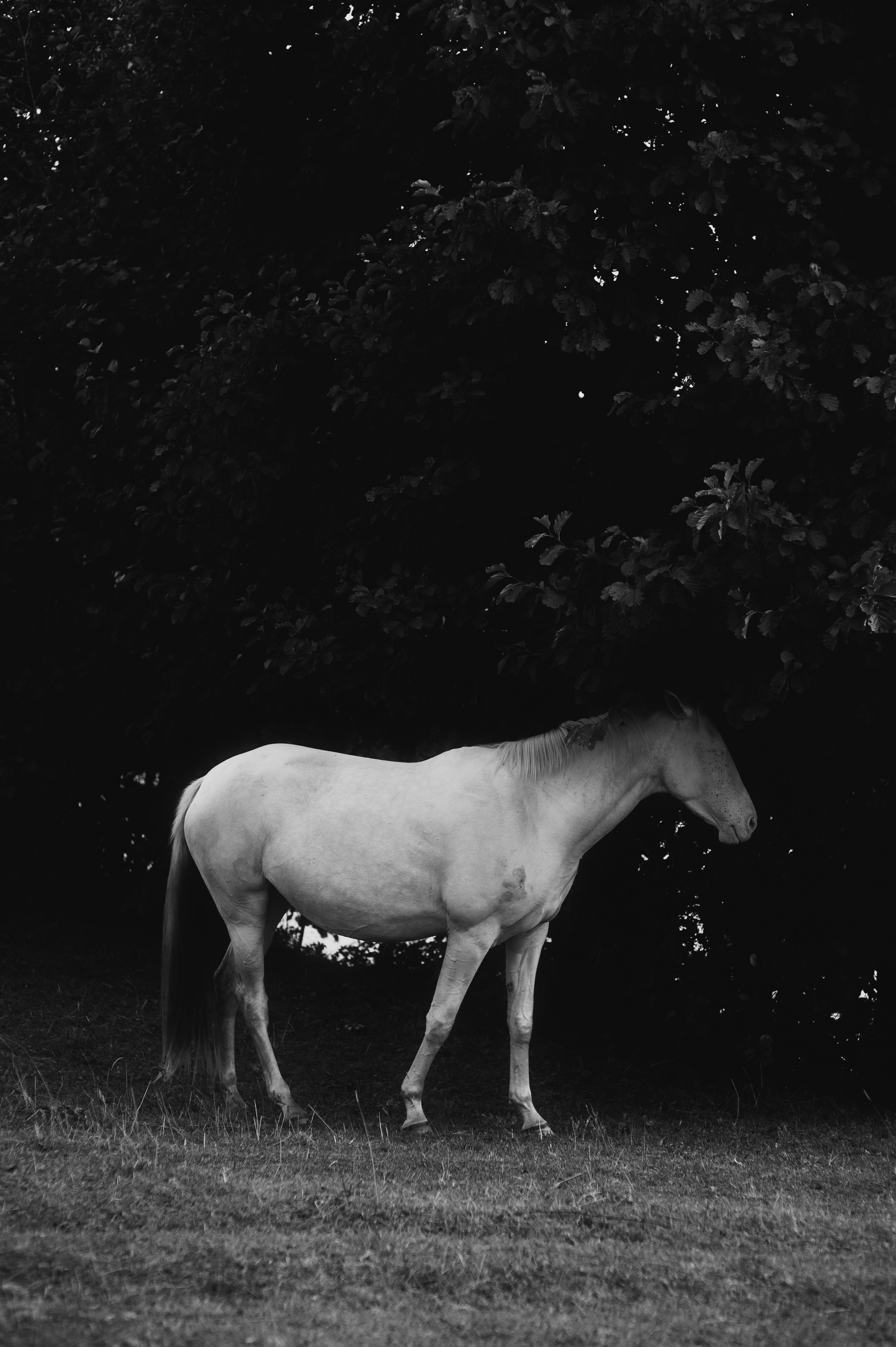 Photo by evil_bumblebee