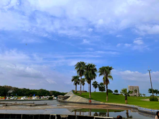 A vibrant community park with diverse families enjoying green spaces and accessible pathways under a sunny sky.