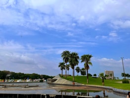 A vibrant community park with walking paths and gathering spaces framed by tropical landscaping.