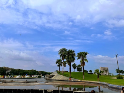 A vibrant park with lush green grass, palm trees, and a clear blue sky. In the foreground, there is a reflective water feature and a gently curved paved walkway. A few people are visible in the area, along with parked cars and distant buildings.