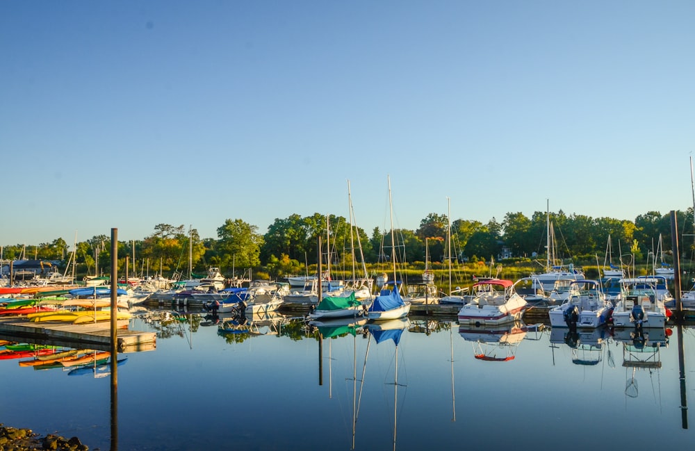 a body of water with boats on it and trees in the back