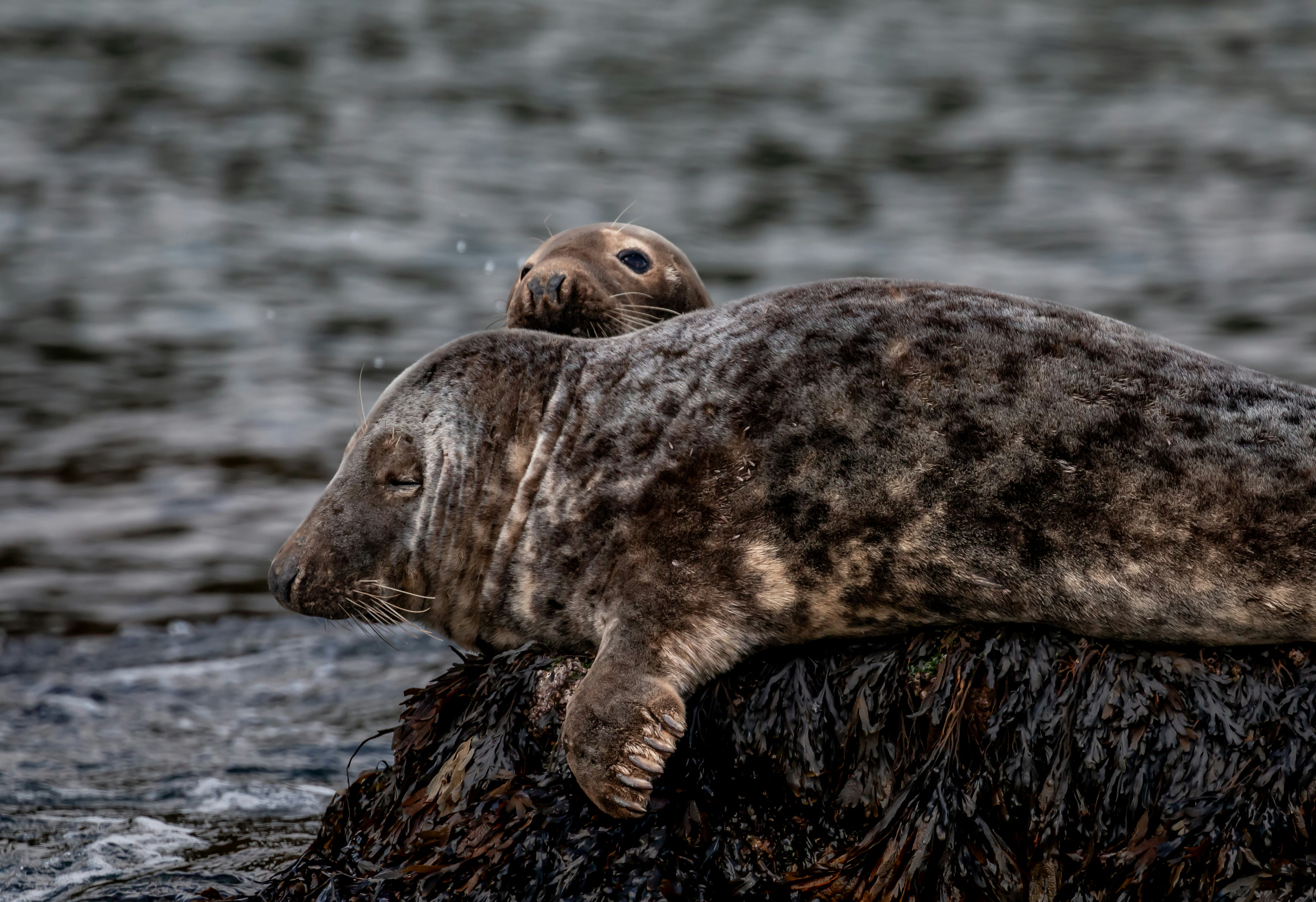 Photo by raymondo600