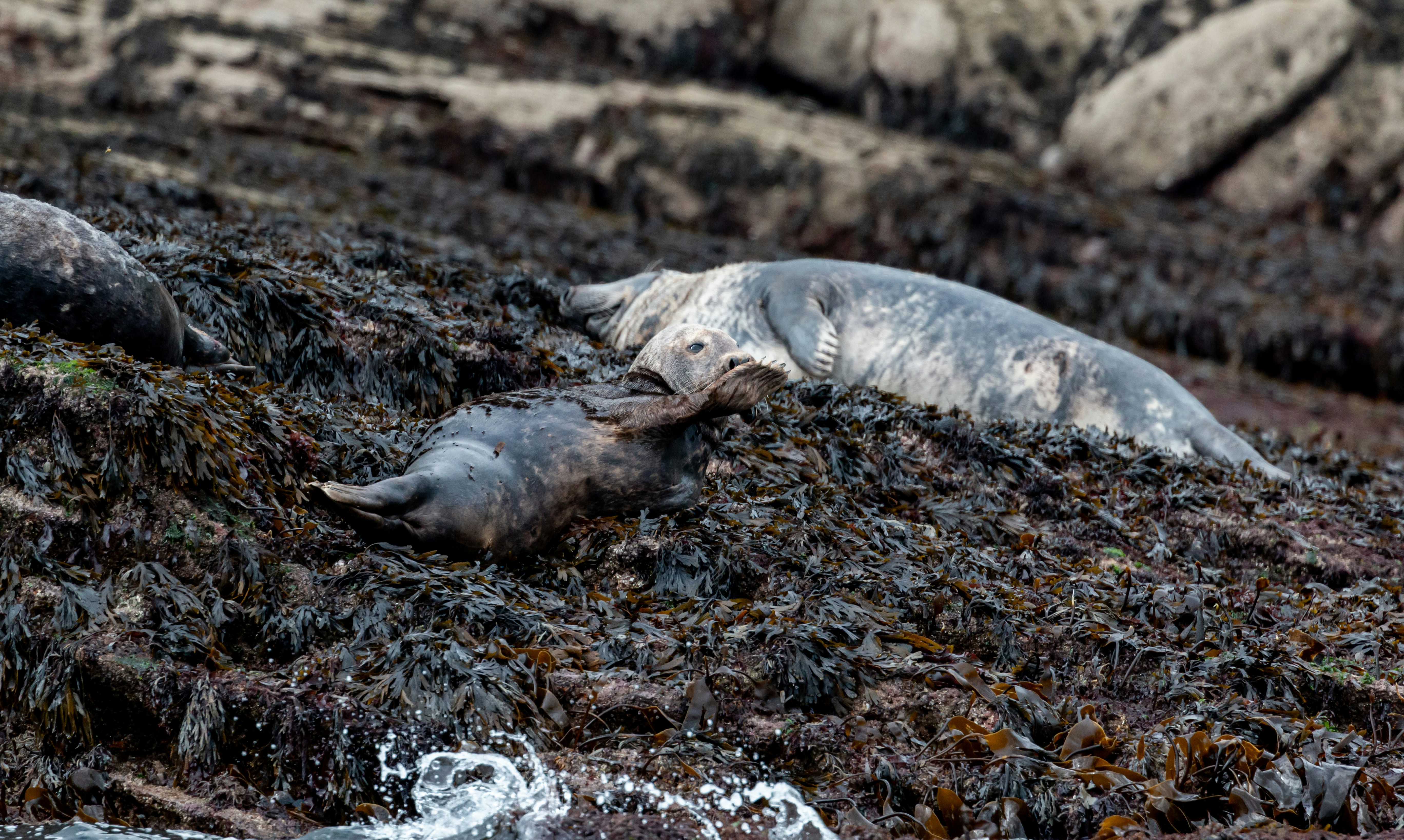 Photo by raymondo600