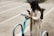 A person is standing near a parked electric scooter, looking at their smartphone. They are wearing a long beige coat and have a backpack. The setting is an urban area, with concrete ground and metal bike racks around.