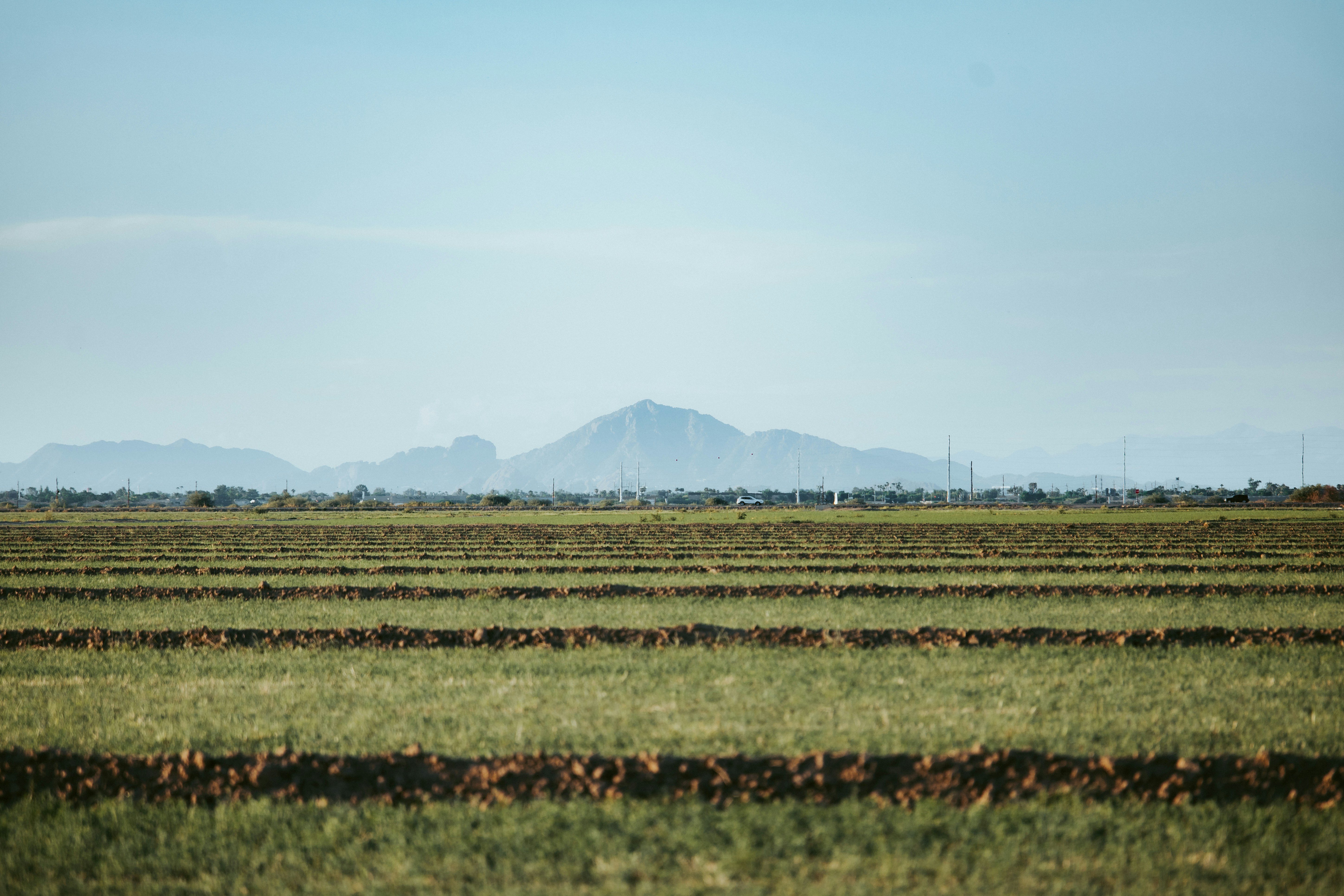 Photo by jeffersonsees