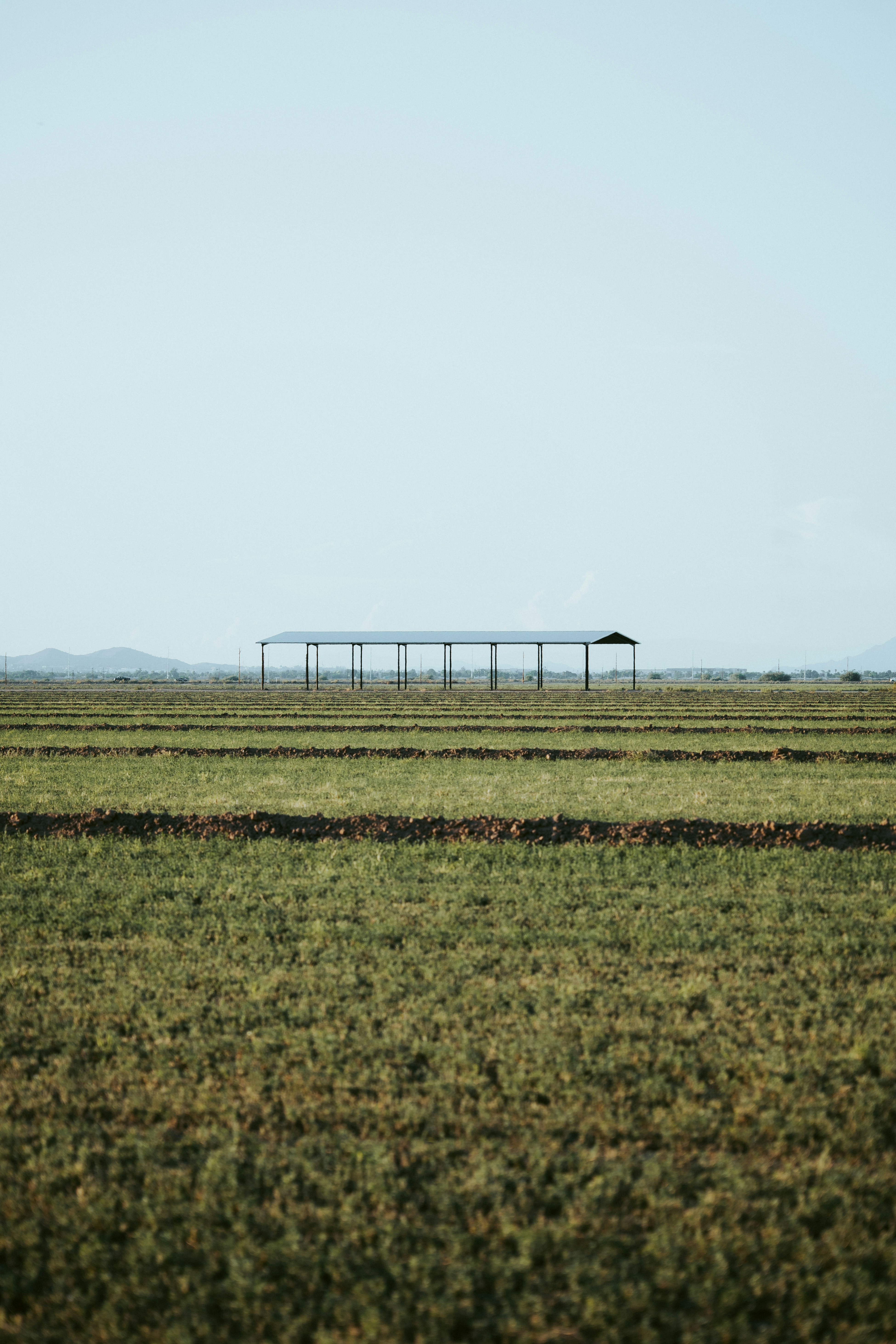 Photo by jeffersonsees