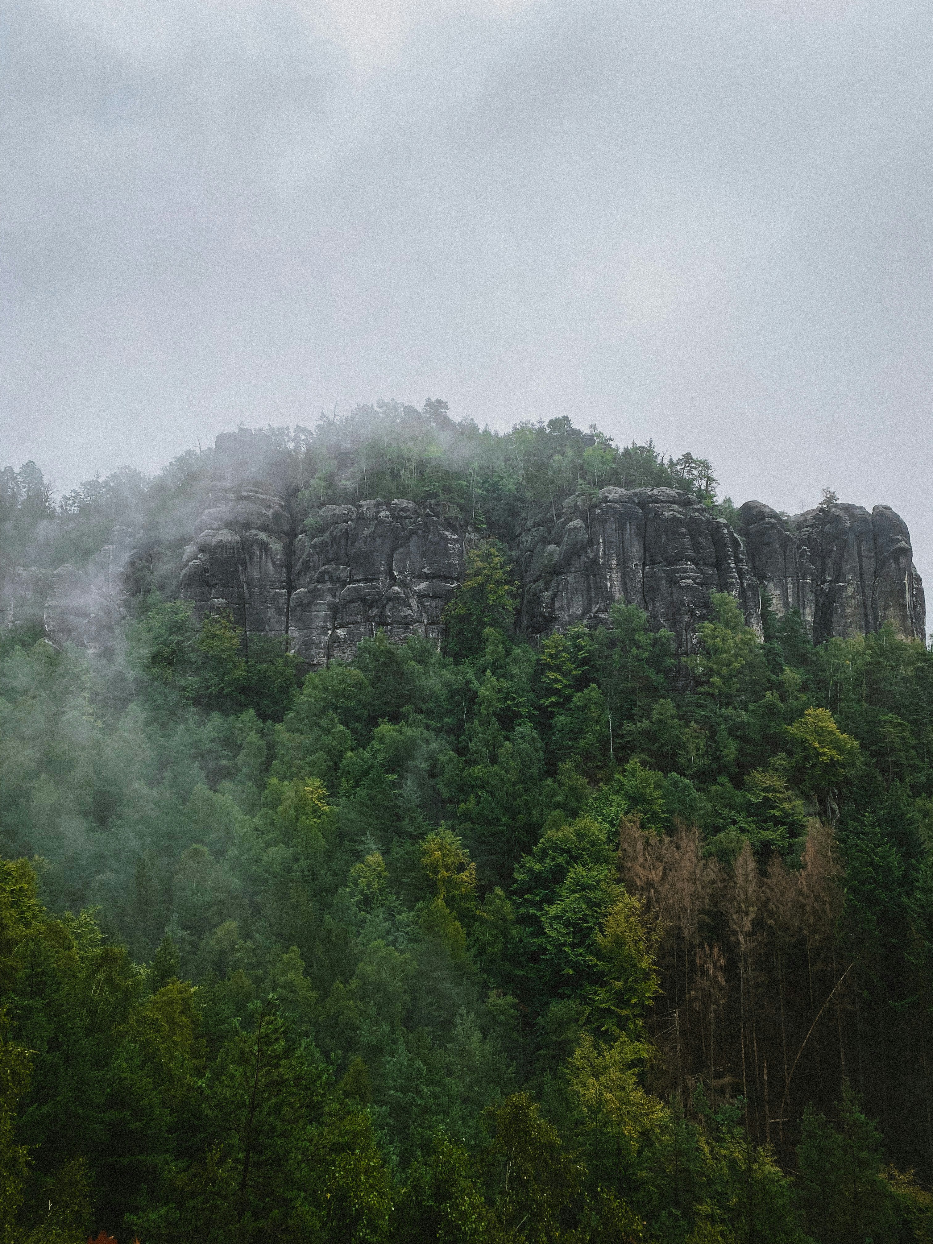 a rocky cliff with trees on it