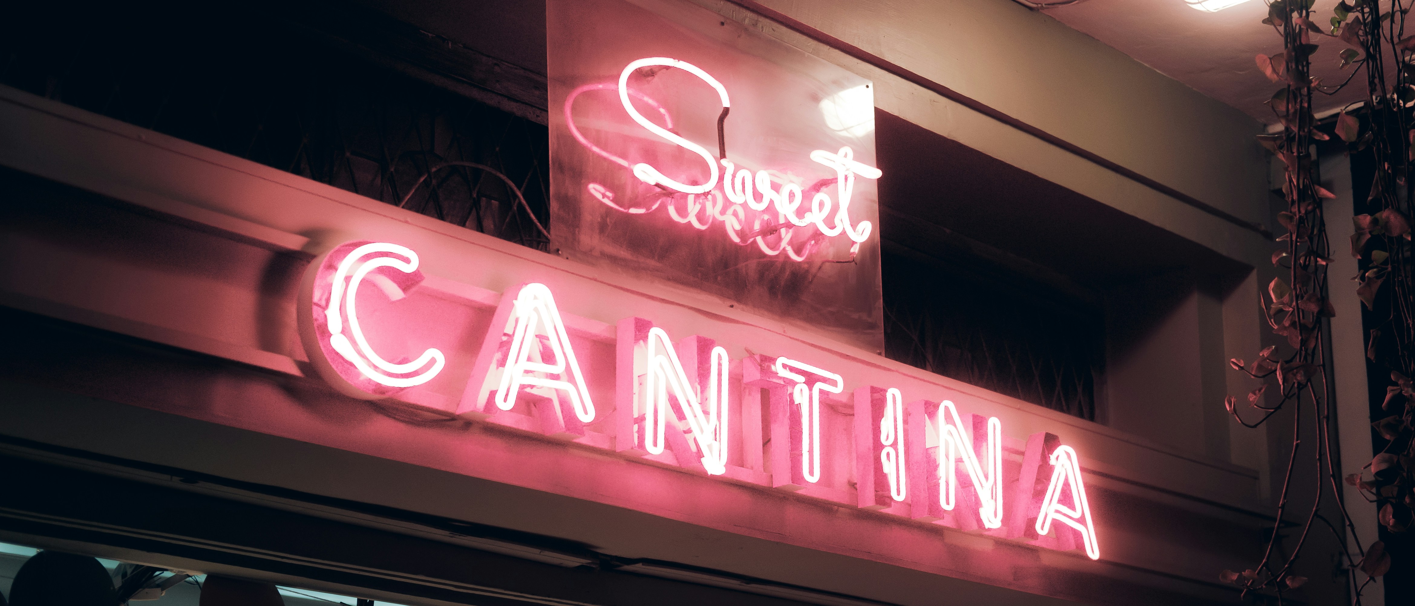 Neon website interface