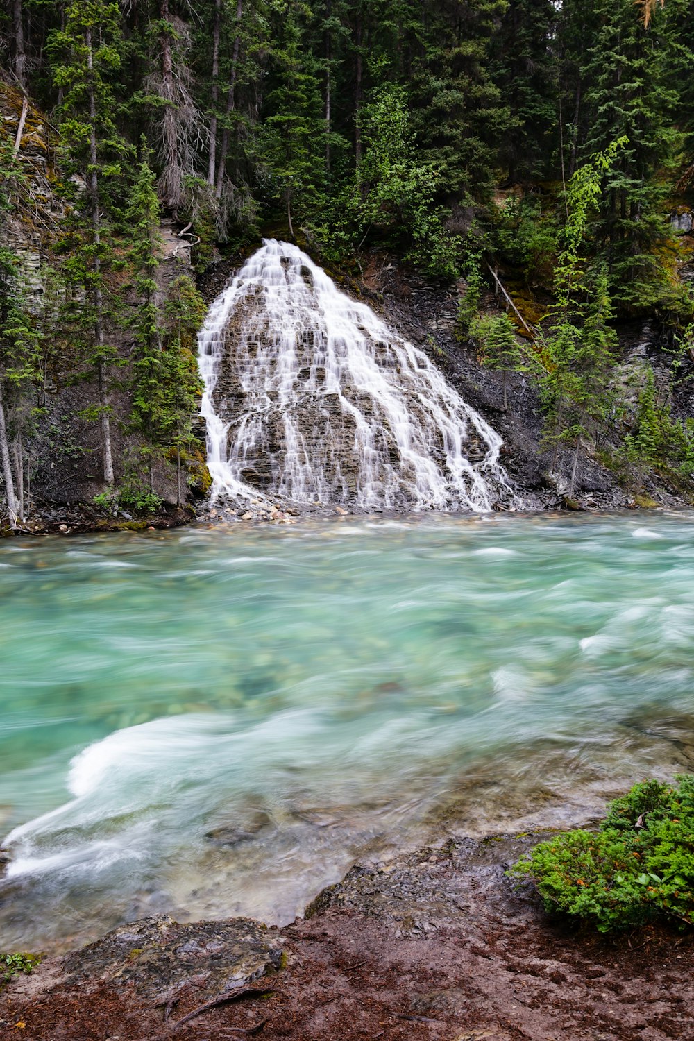 a waterfall in a forest