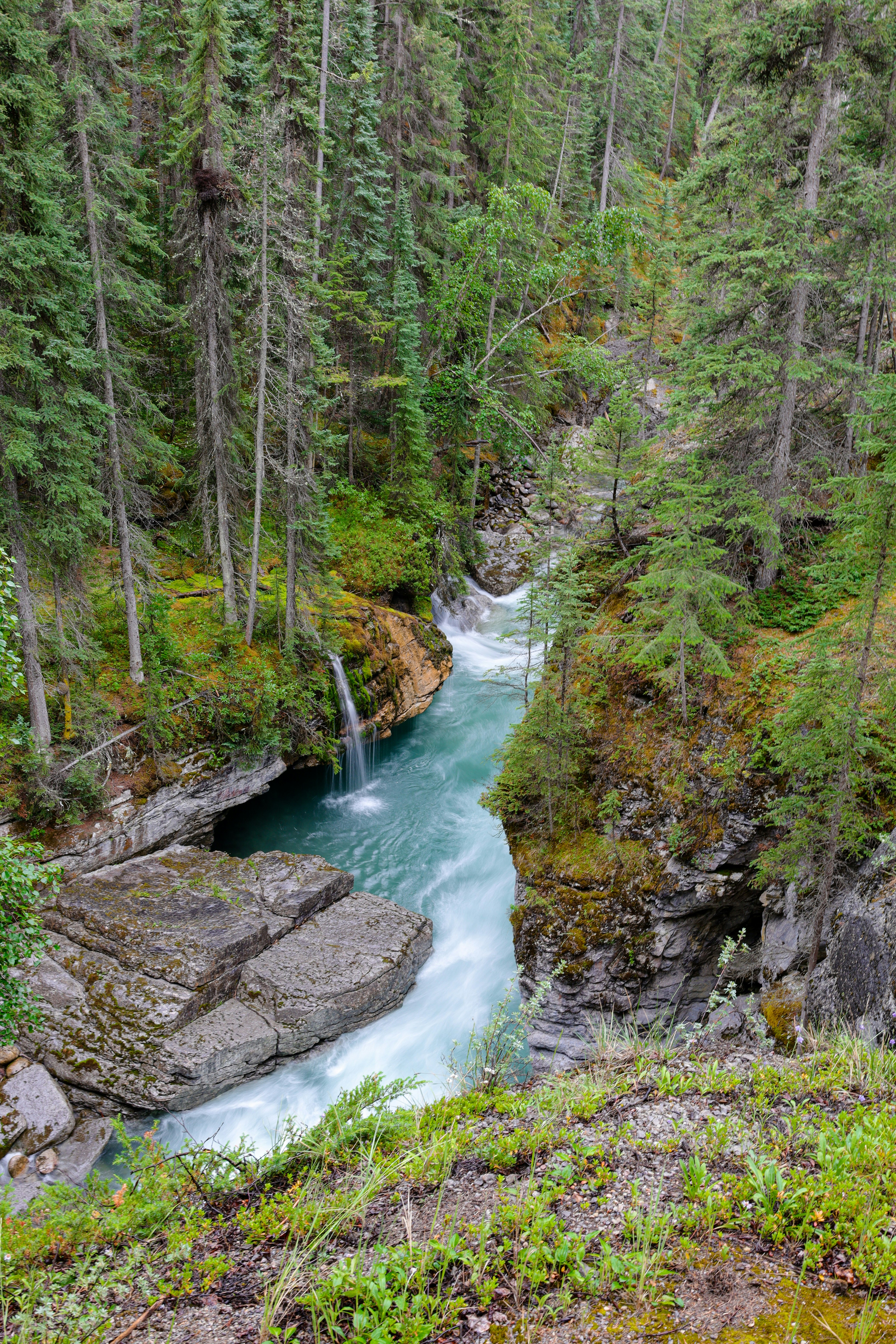 Photo by andrewdarlington