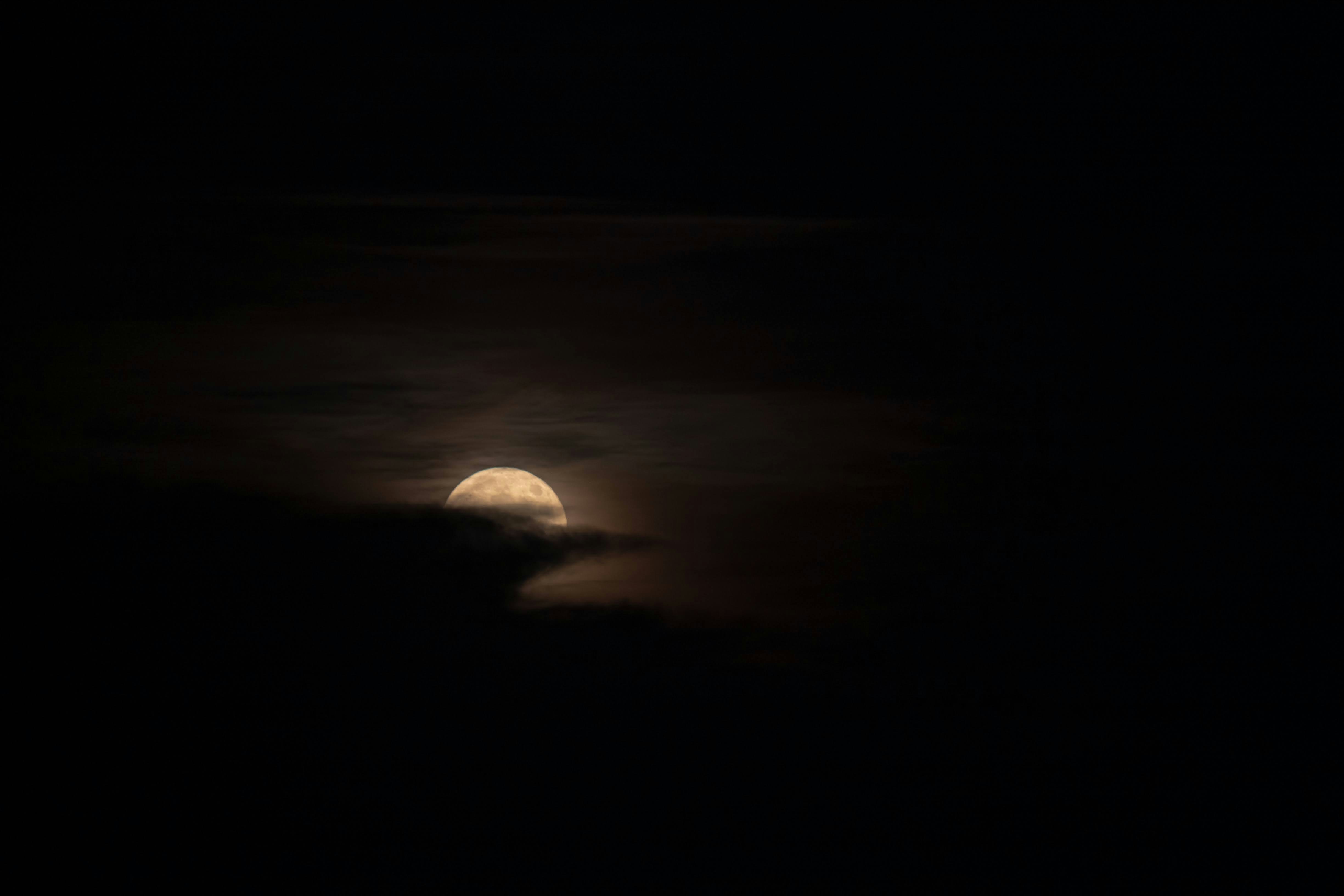 Photo by brice_cooper18