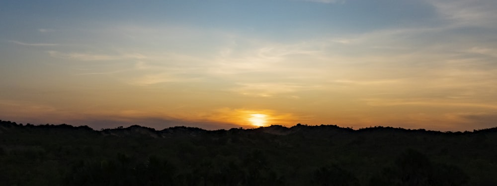 a landscape with trees and a sunset