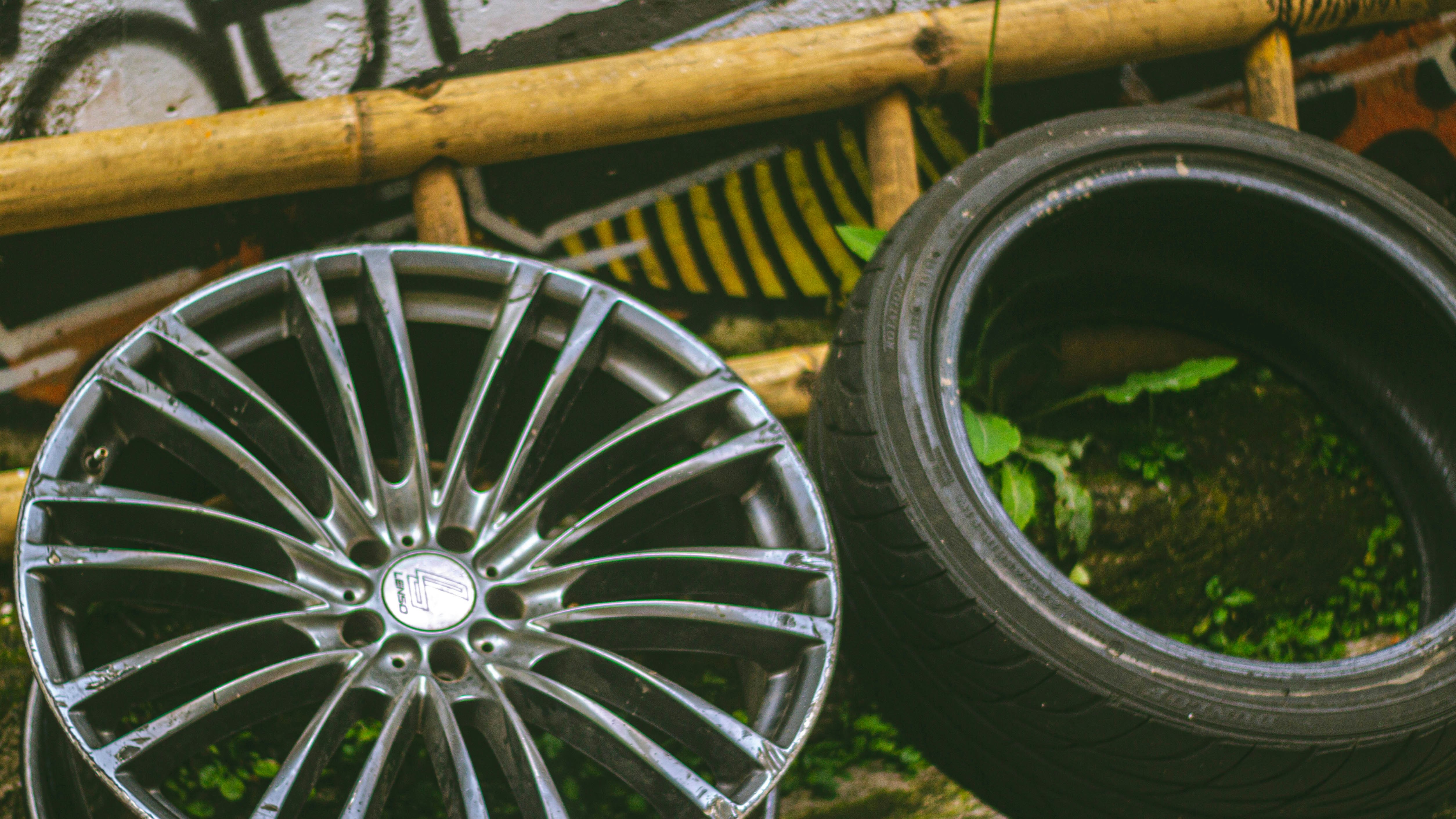 Photo by tegaroakley