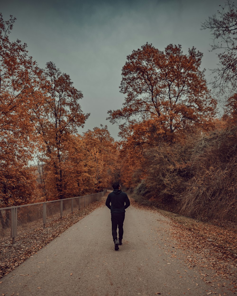 a person walking on a road with trees on either side of it