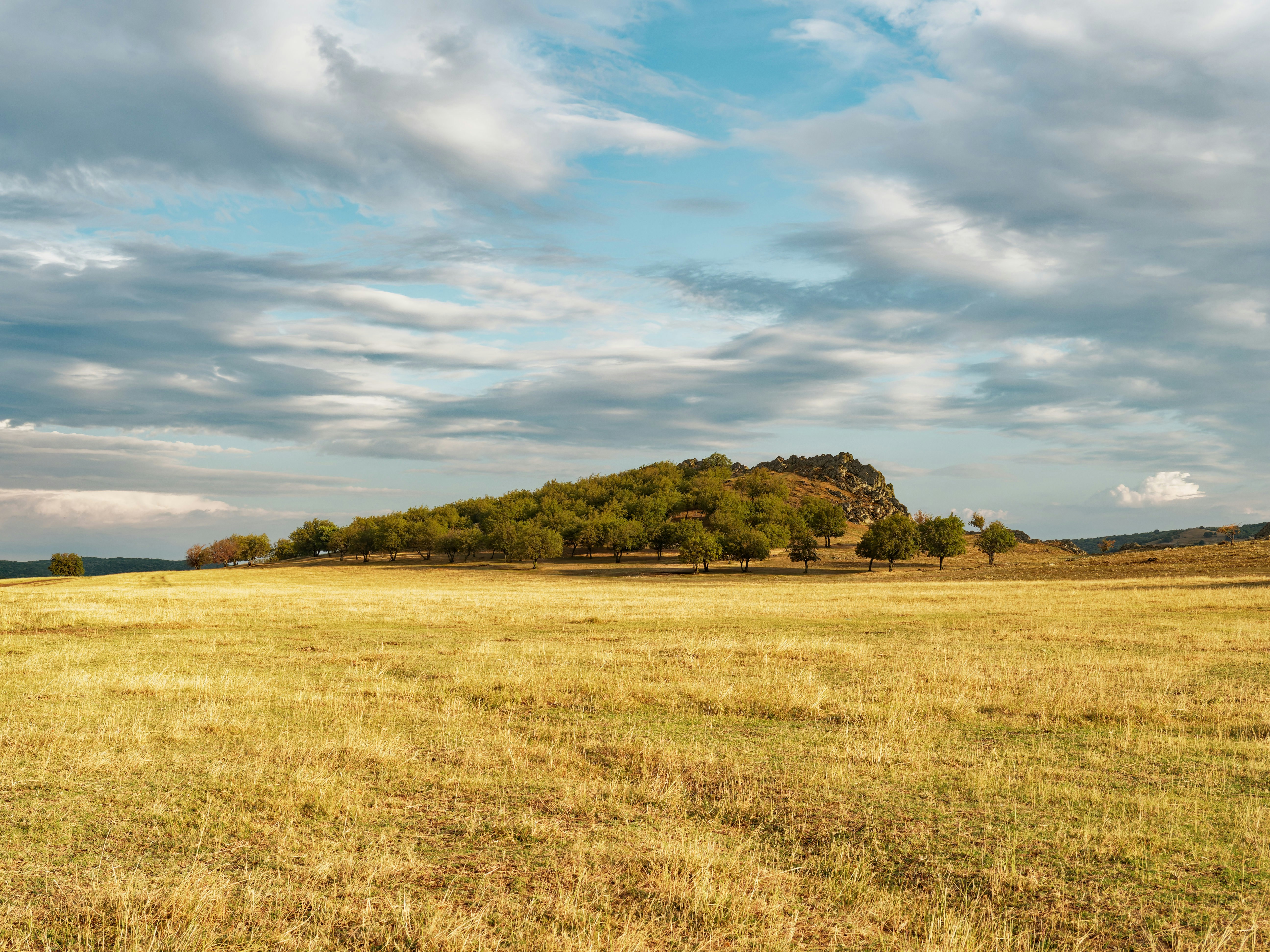 You're Surrounded By Good