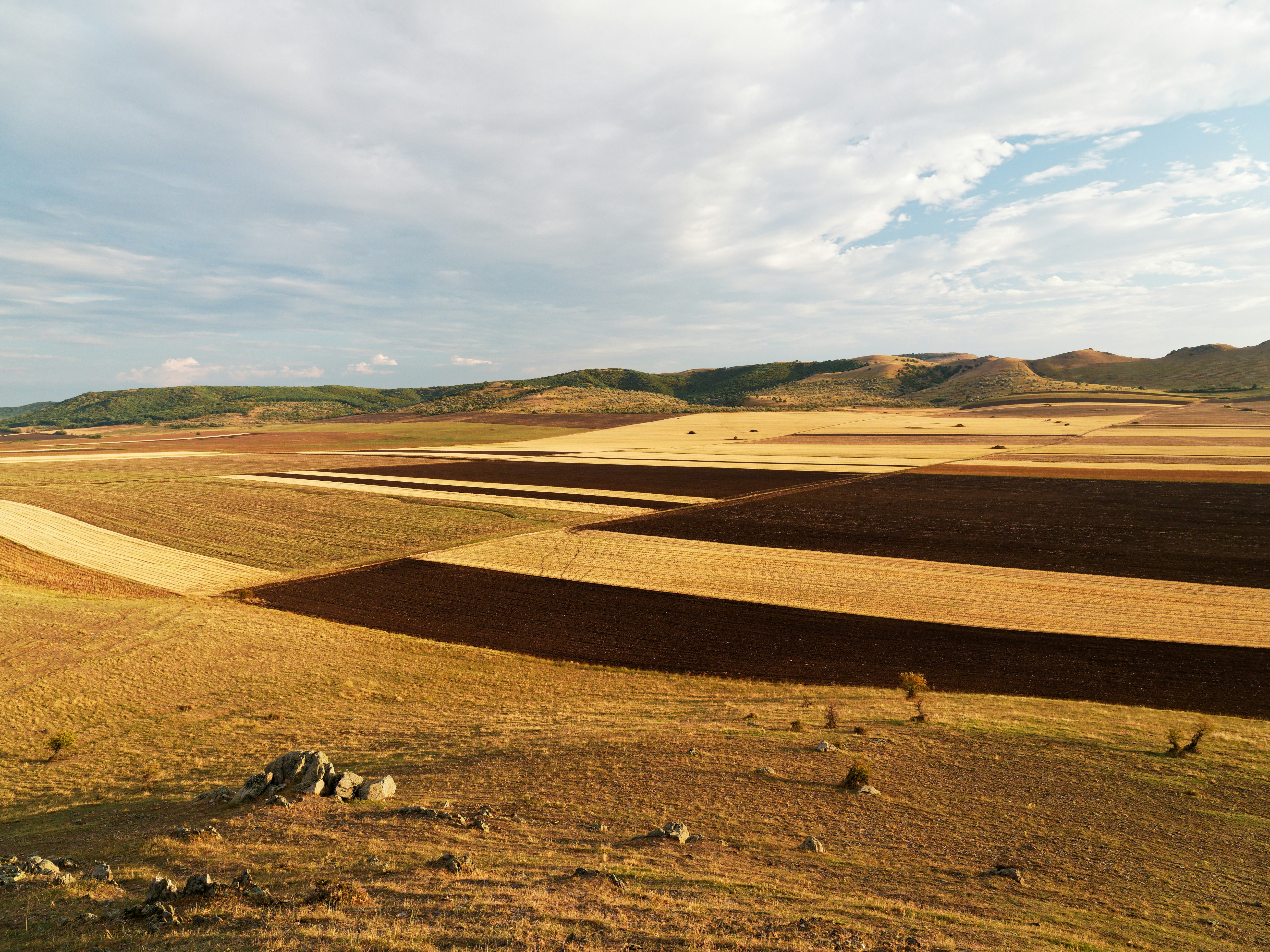 Photo by illes_cristi