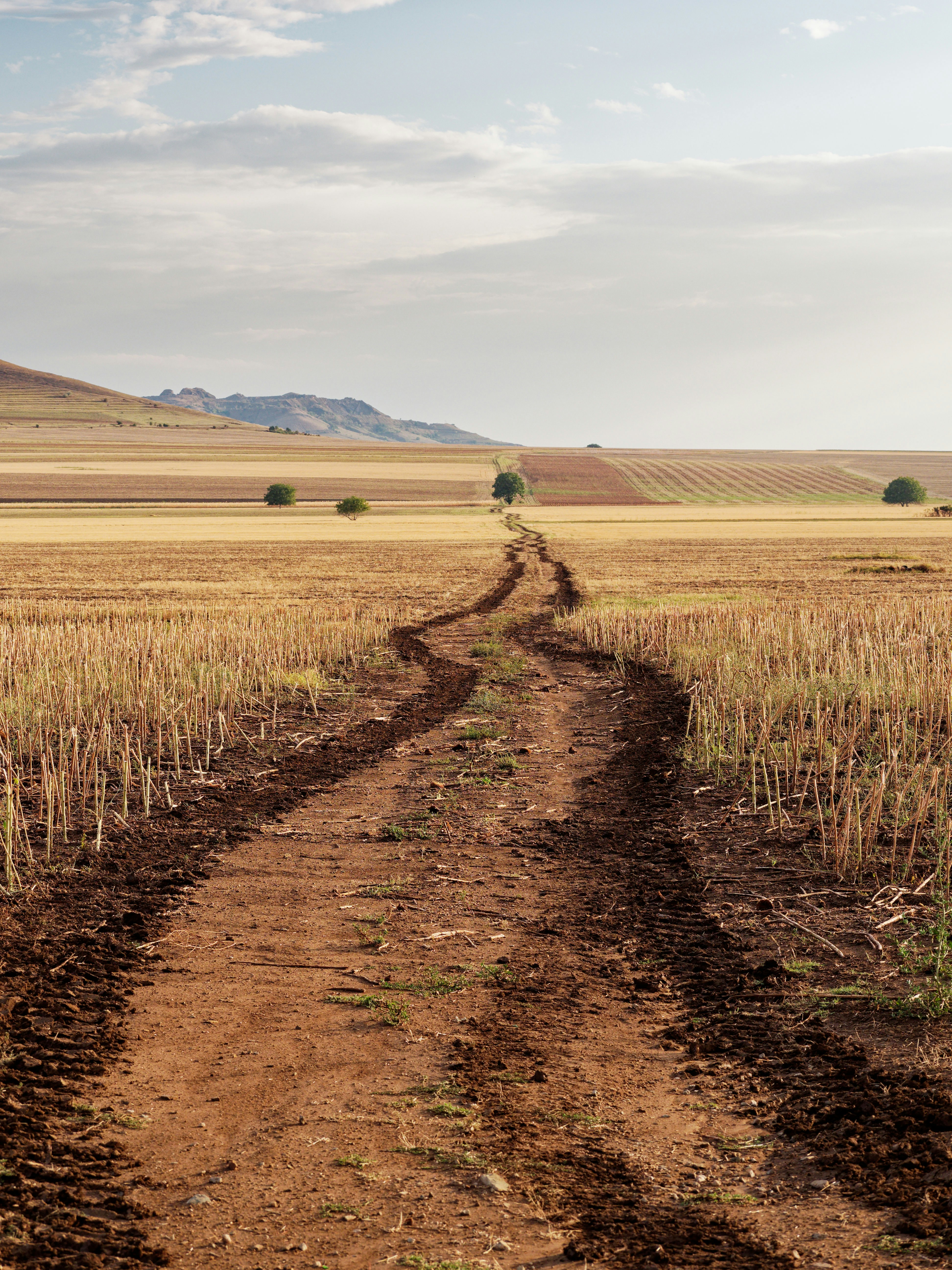 Photo by illes_cristi