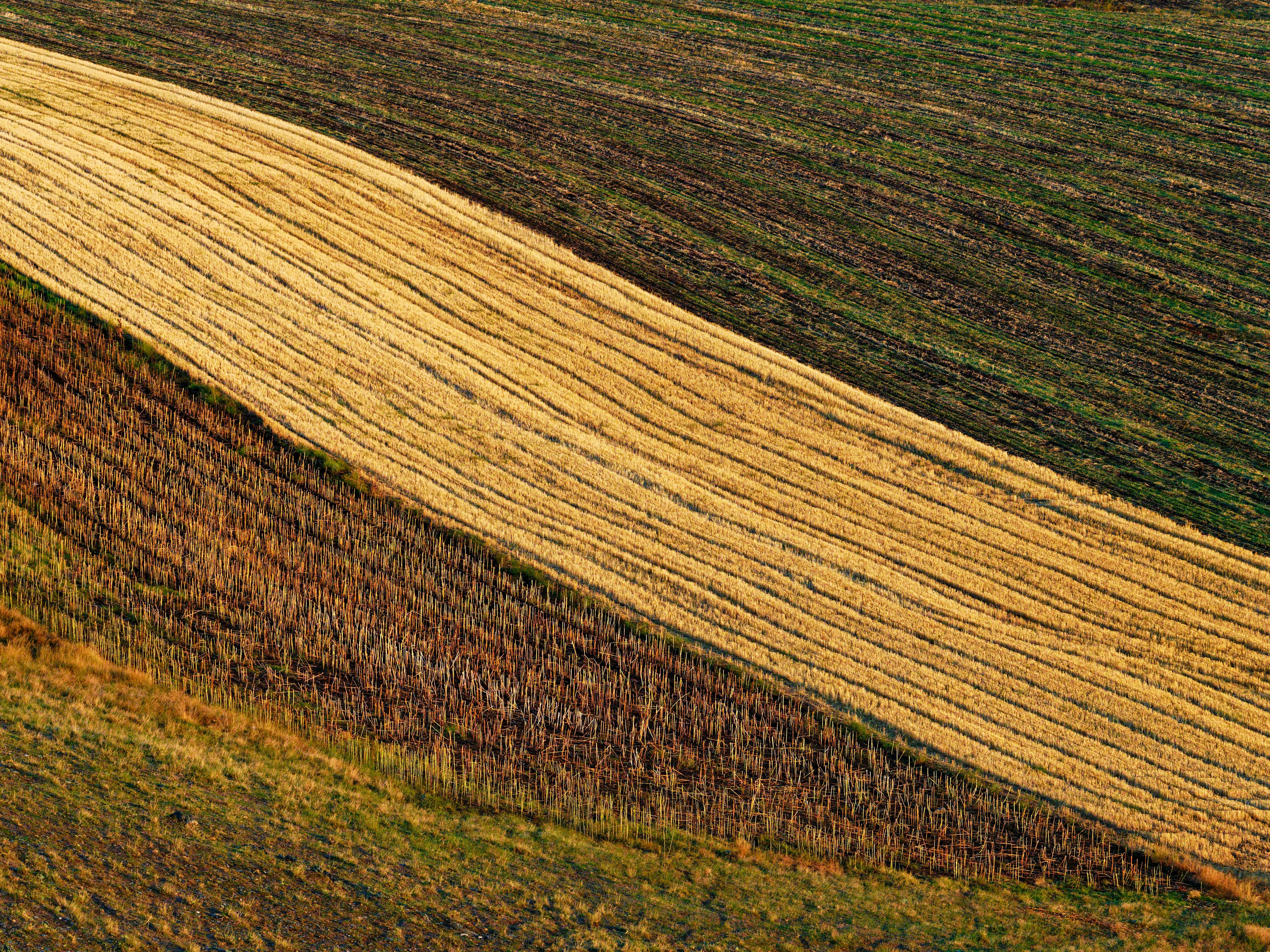 Photo by illes_cristi