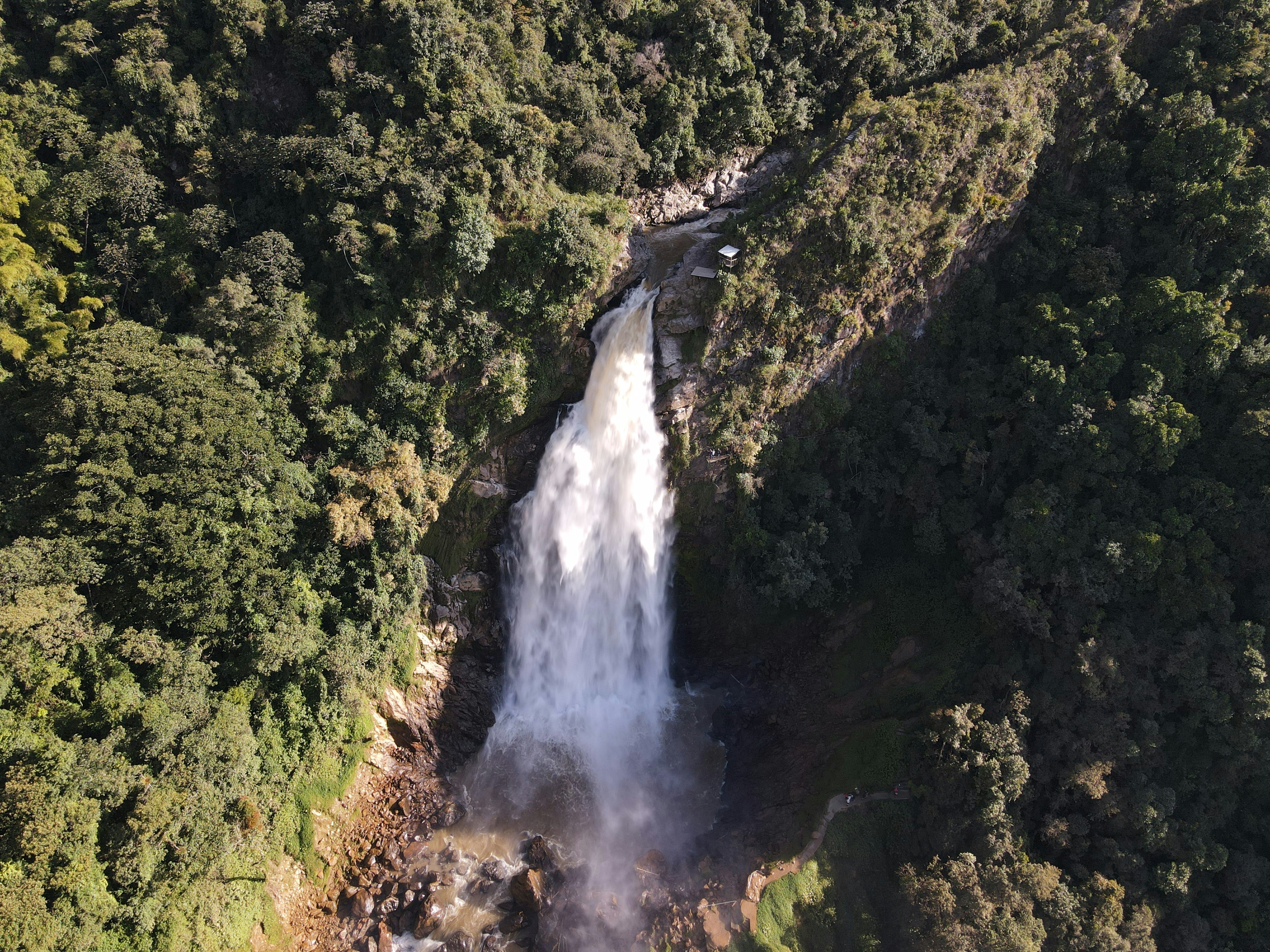 a waterfall in a forest