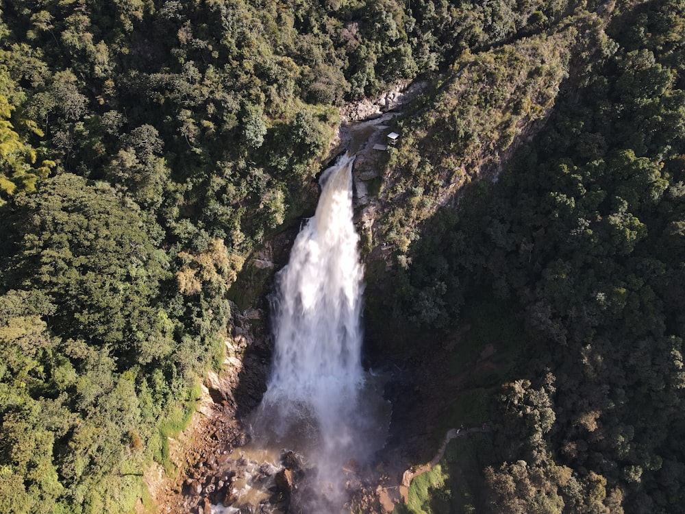 a waterfall in a forest