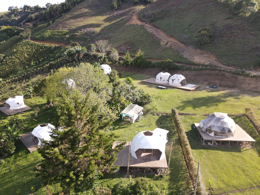 a group of white tents in a grassy field