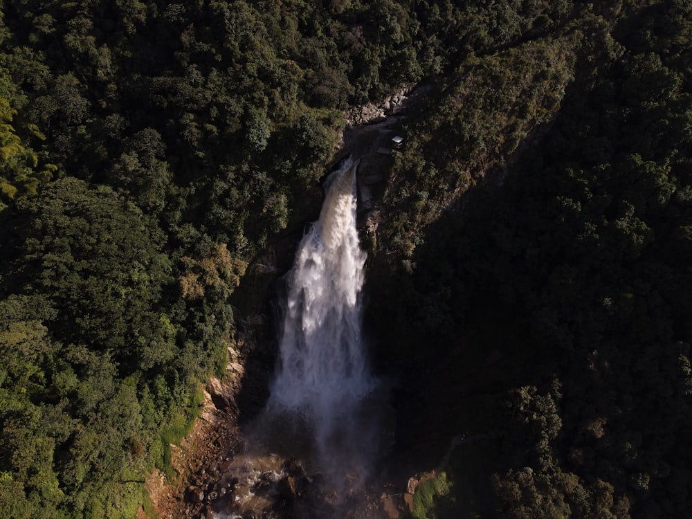 a waterfall in a forest