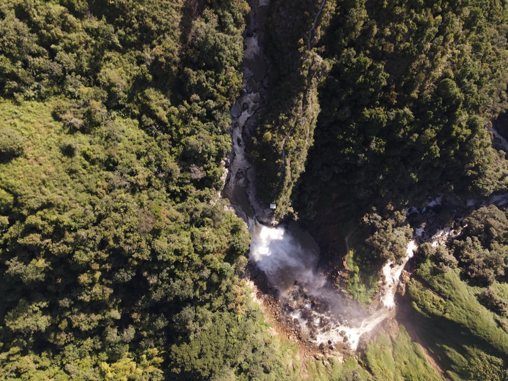 uma cachoeira em uma floresta