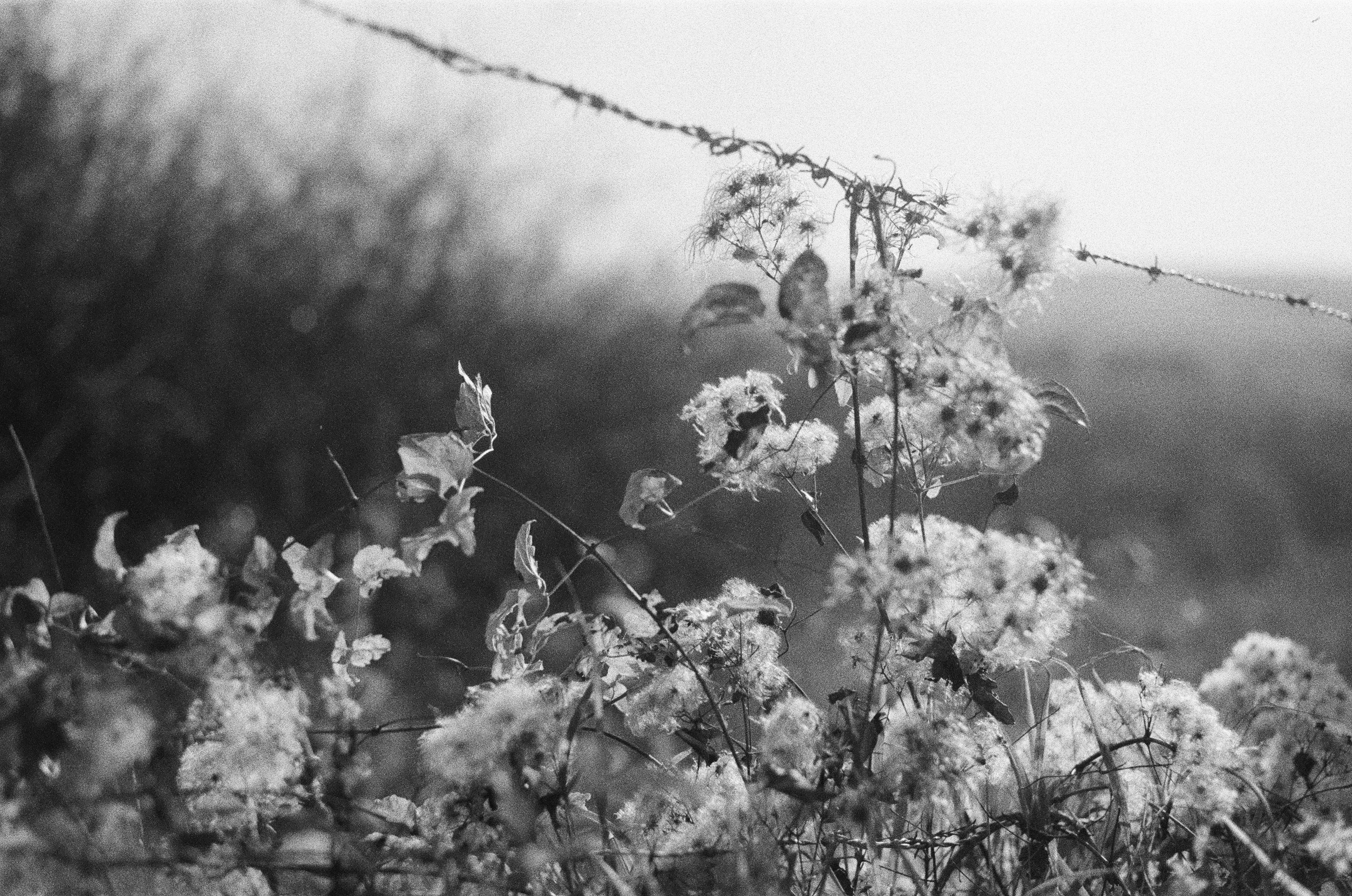 Photo by mevrouwhatseflats