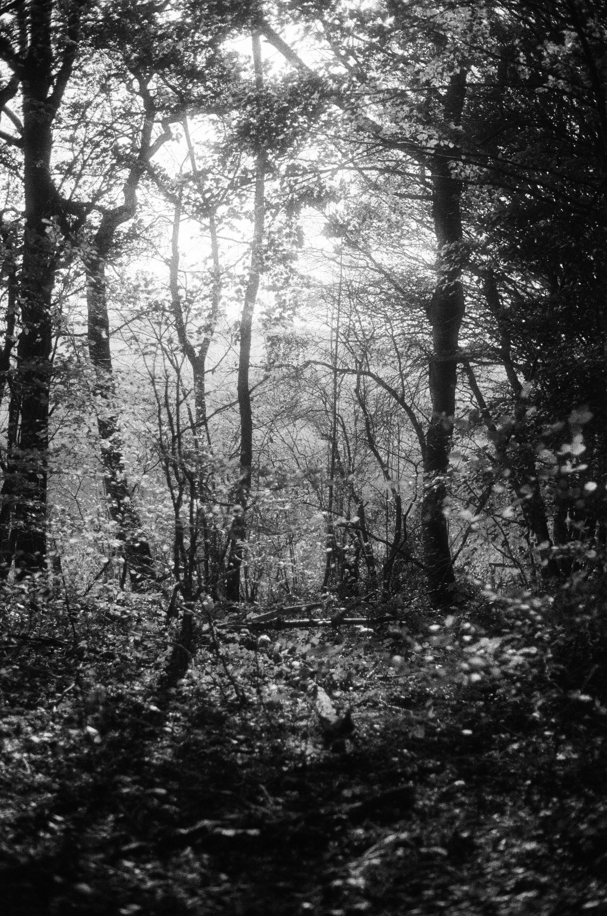 Photo by mevrouwhatseflats