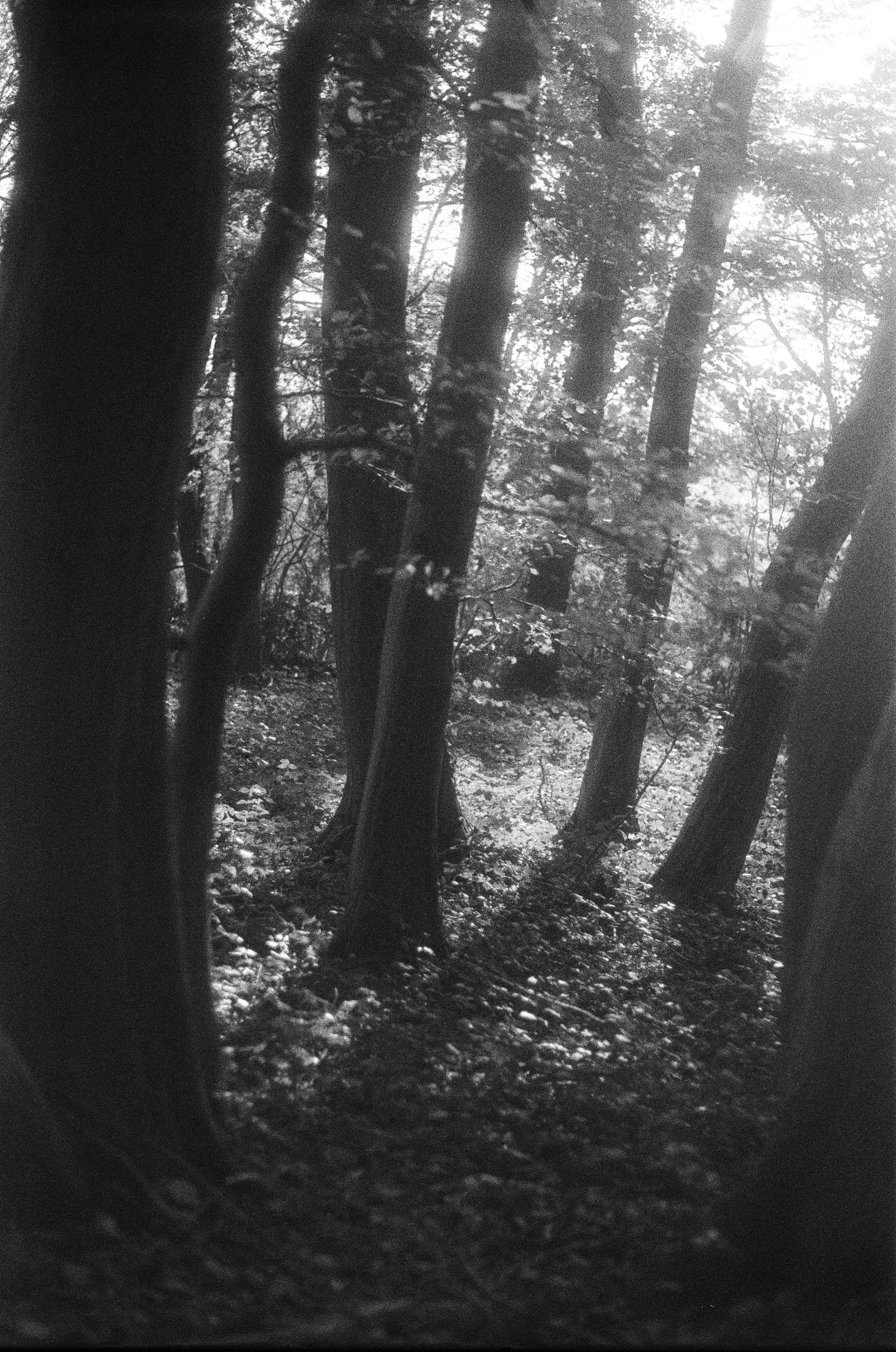 Photo by mevrouwhatseflats