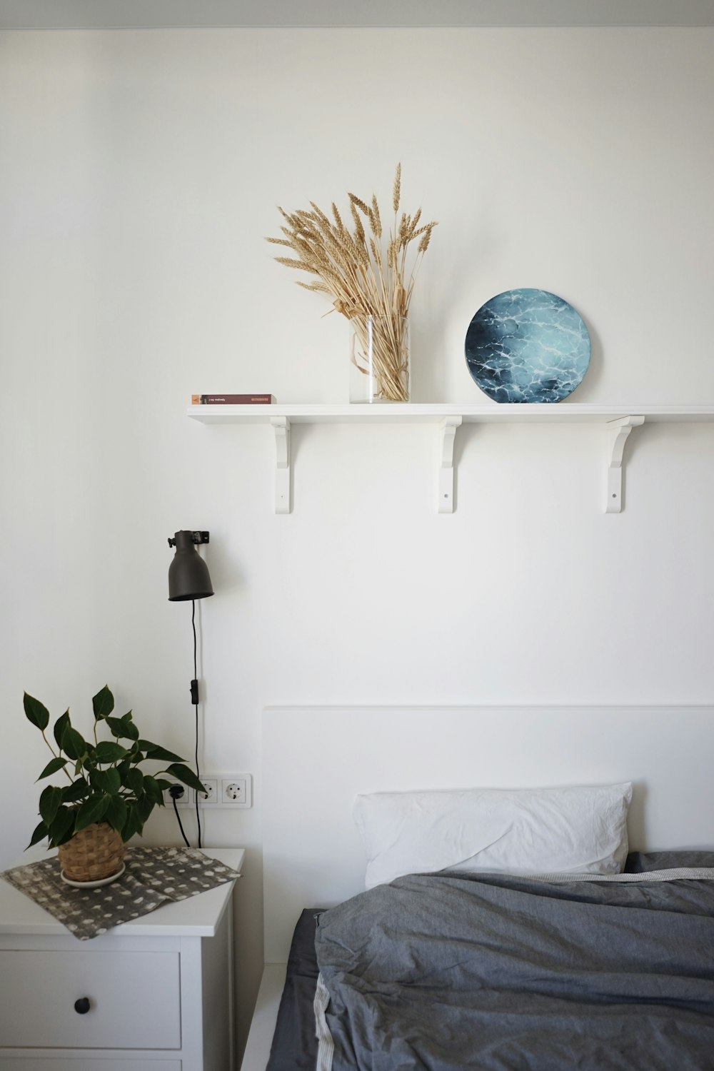 a white wall with a blue globe and a plant on a shelf