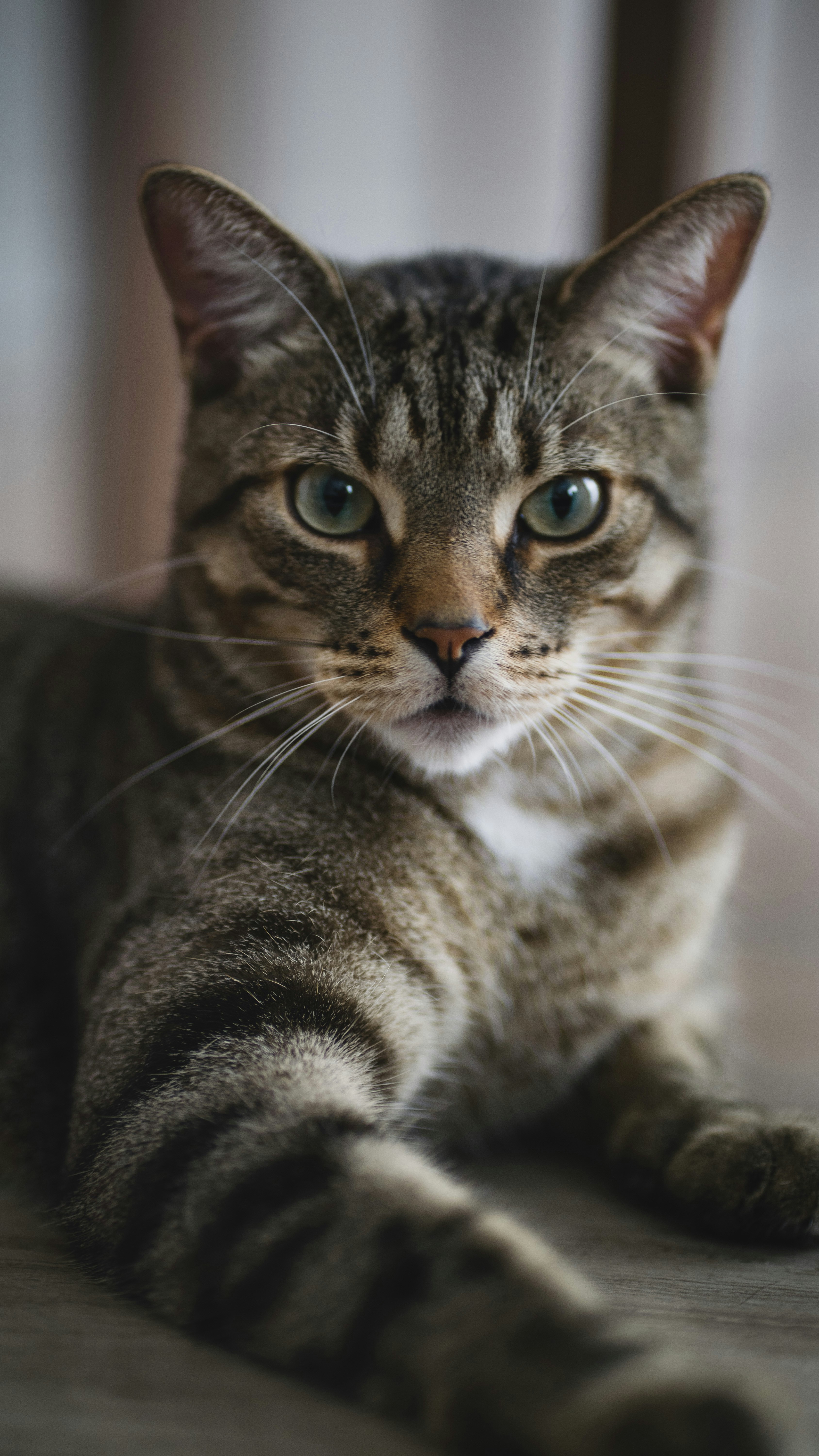 Photo by johnsmithphotography