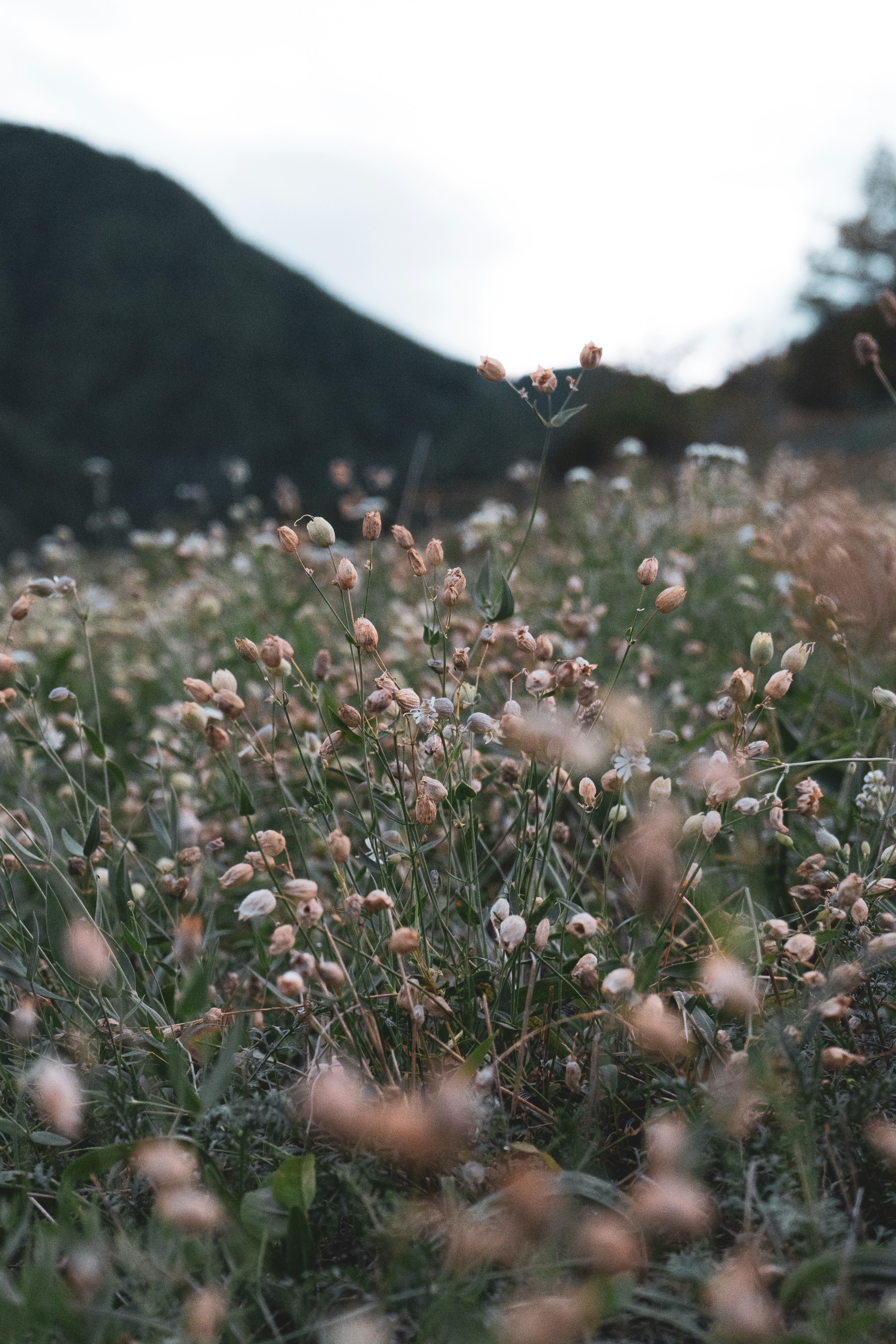 Photo by hannesvikoler_