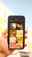 A hand holds a smartphone displaying a search result for animals. The screen shows a grid of nine images, featuring various animals including a parrot, cat, bird, and lion.