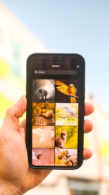 A hand holds a smartphone displaying a search result for animals. The screen shows a grid of nine images, featuring various animals including a parrot, cat, bird, and lion.