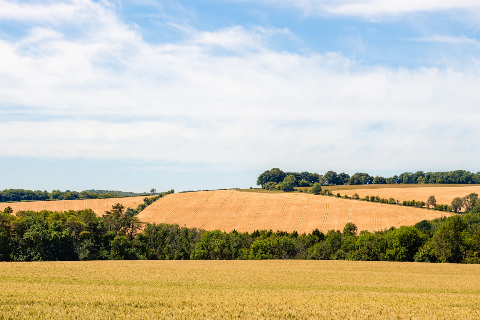 Rolling green hills and fields in the Cotswolds countryside.