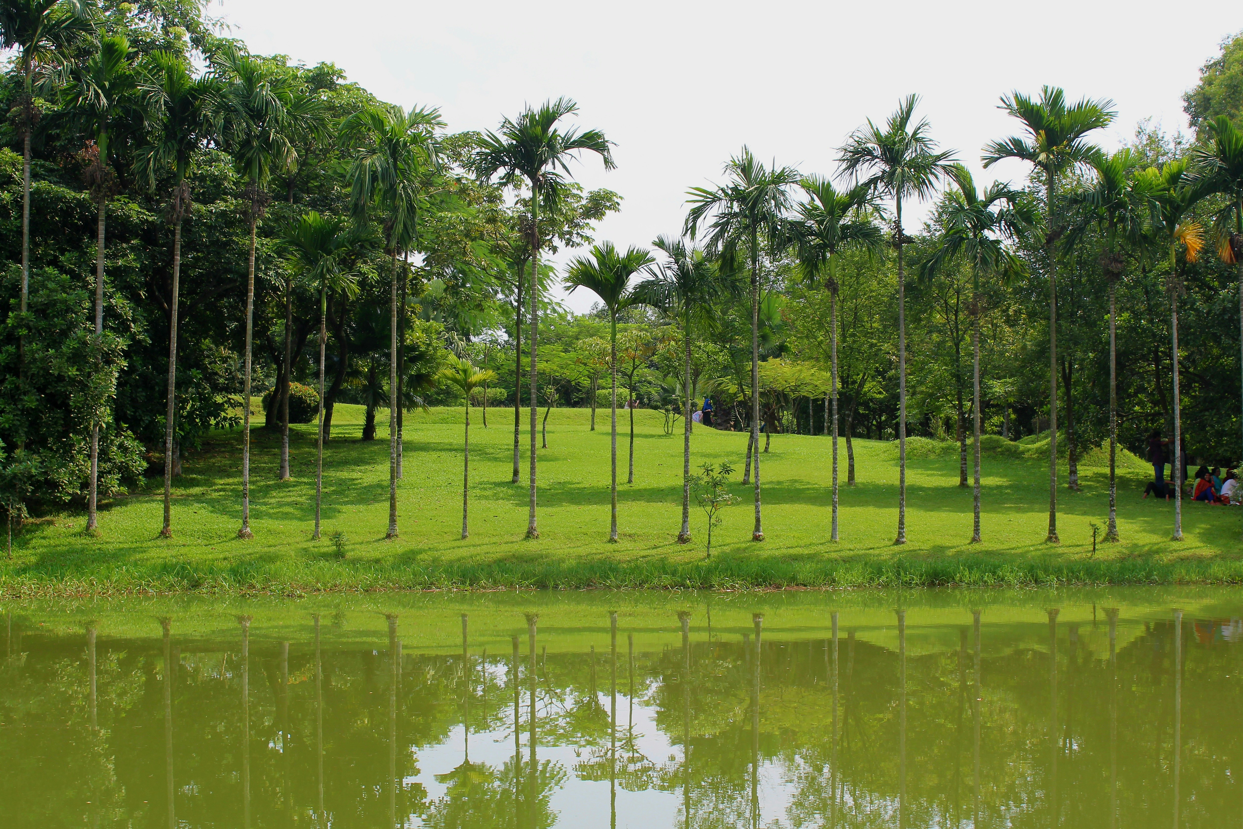 Photo by toushifalam