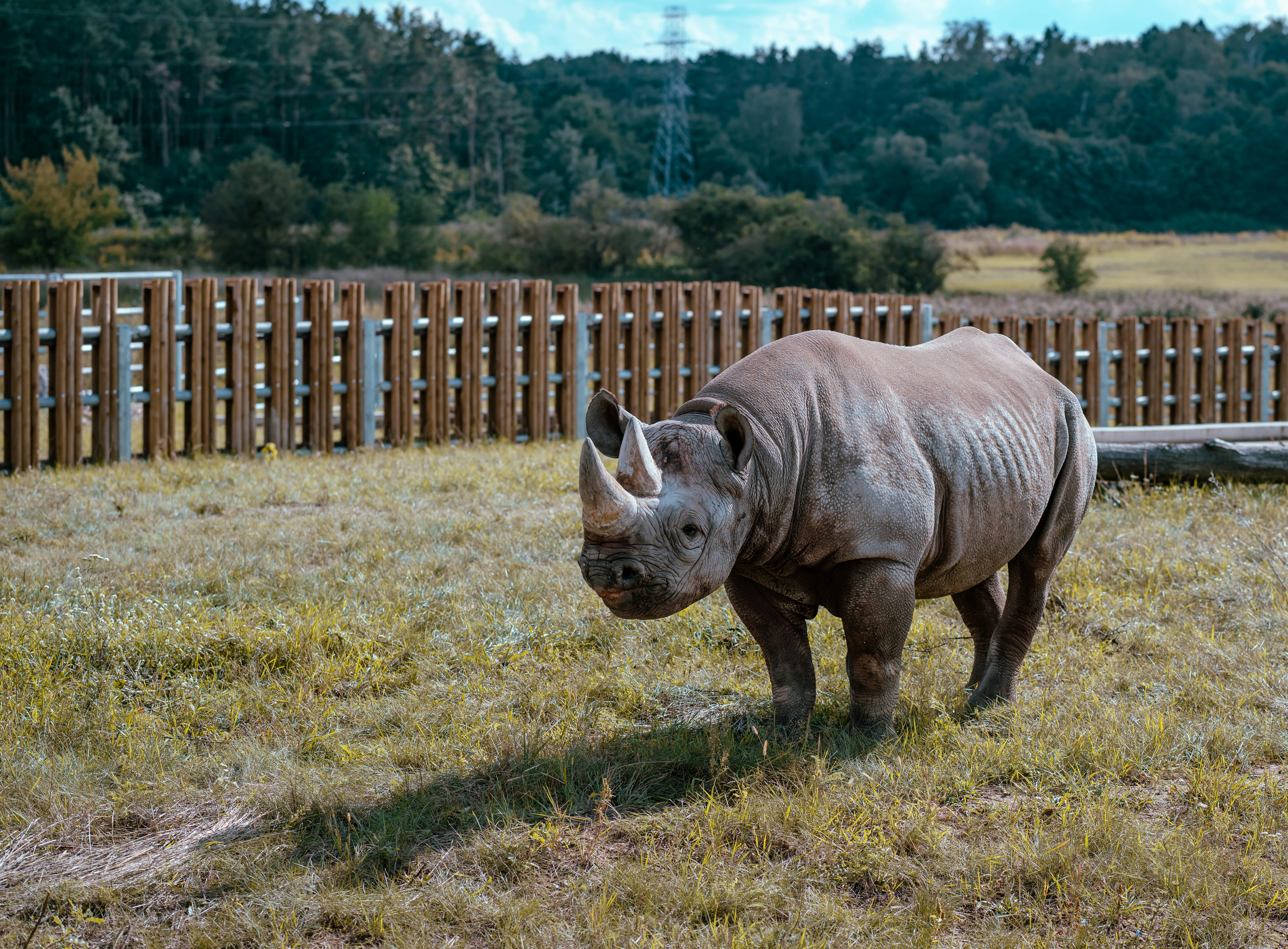 Photo by egorkomarov