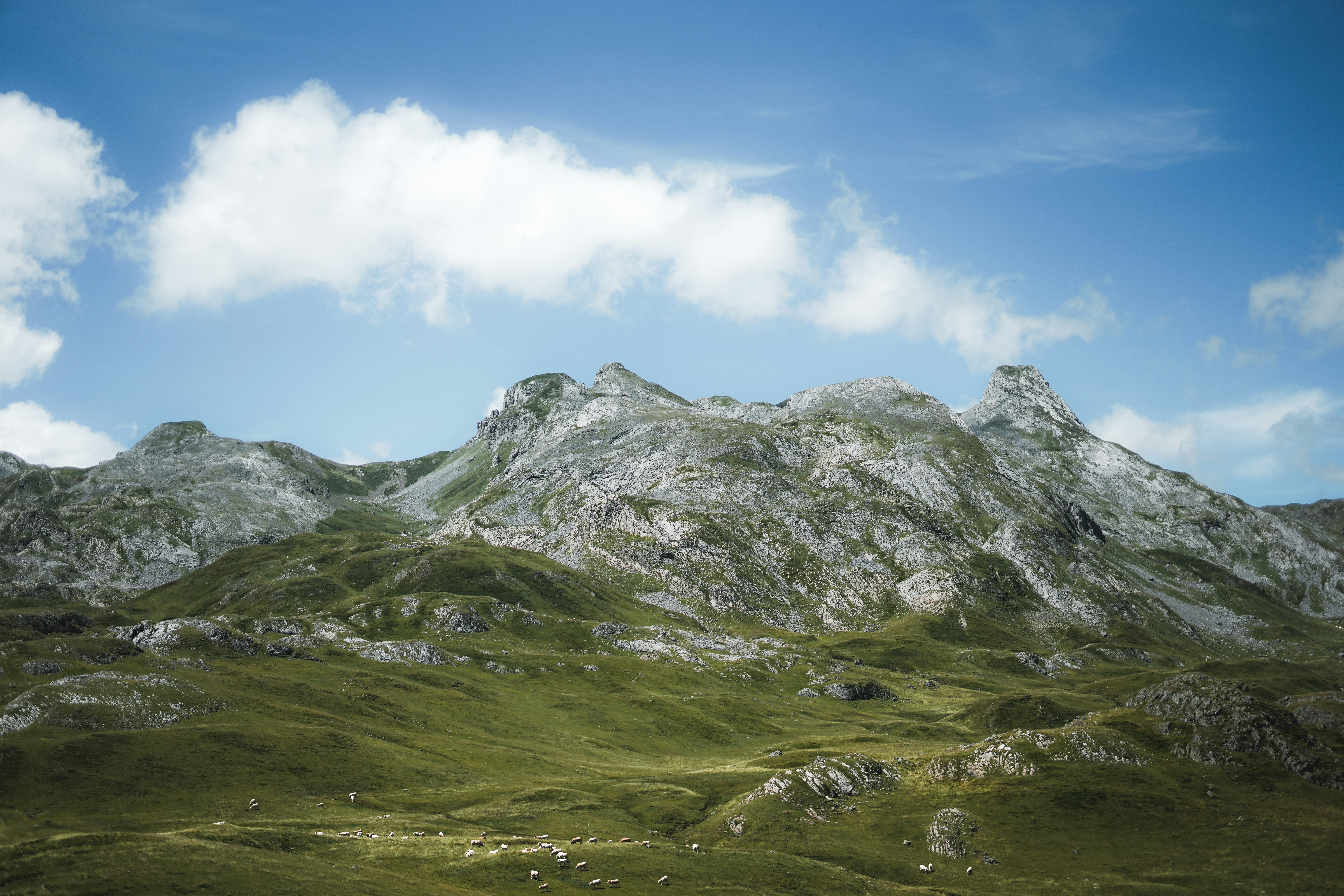 Photo by lawlesscapture