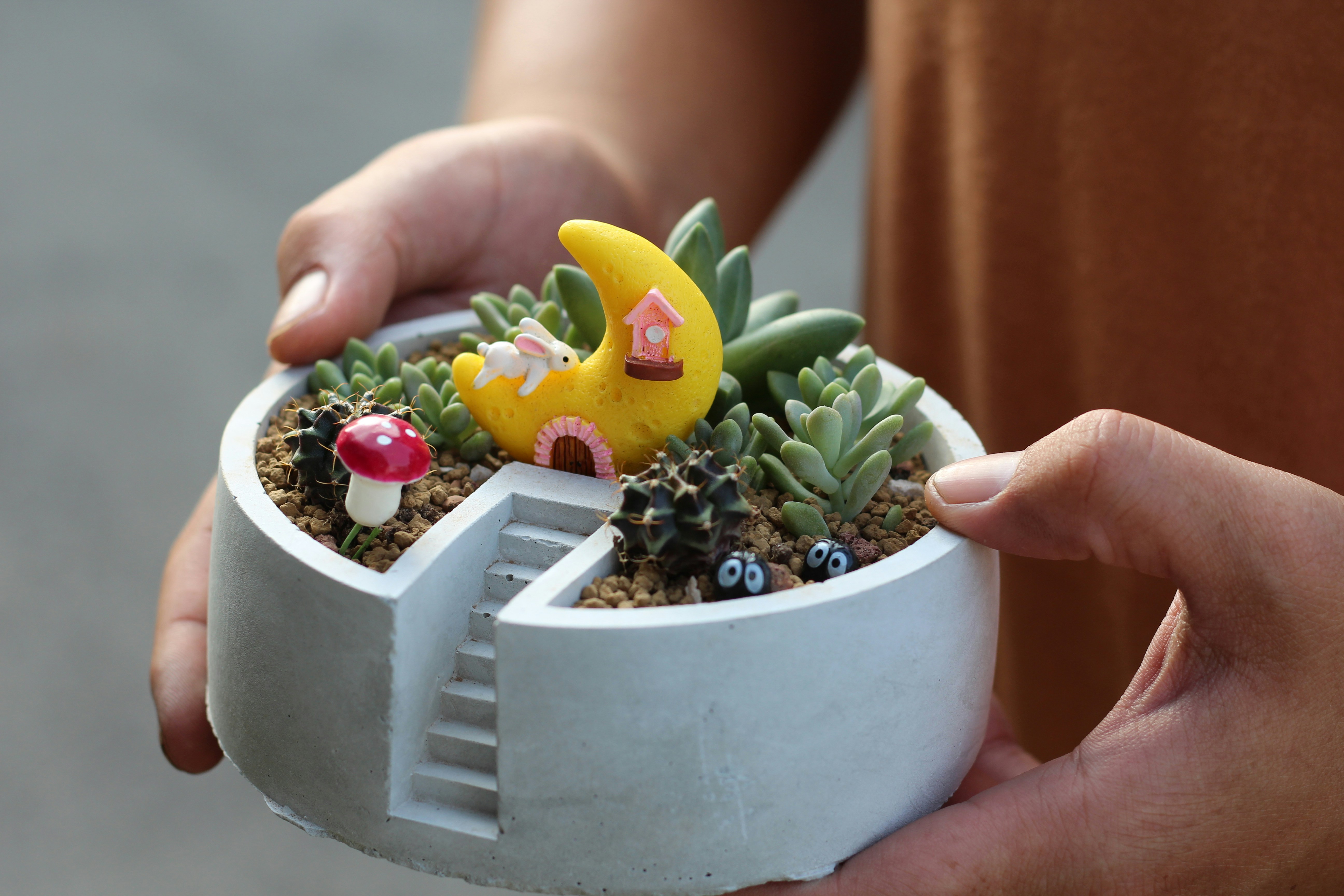 a small cactus in a pot