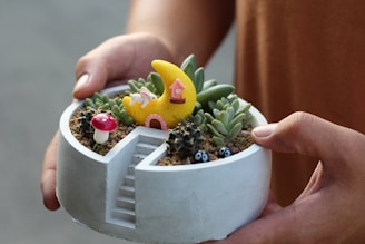 a small cactus in a pot