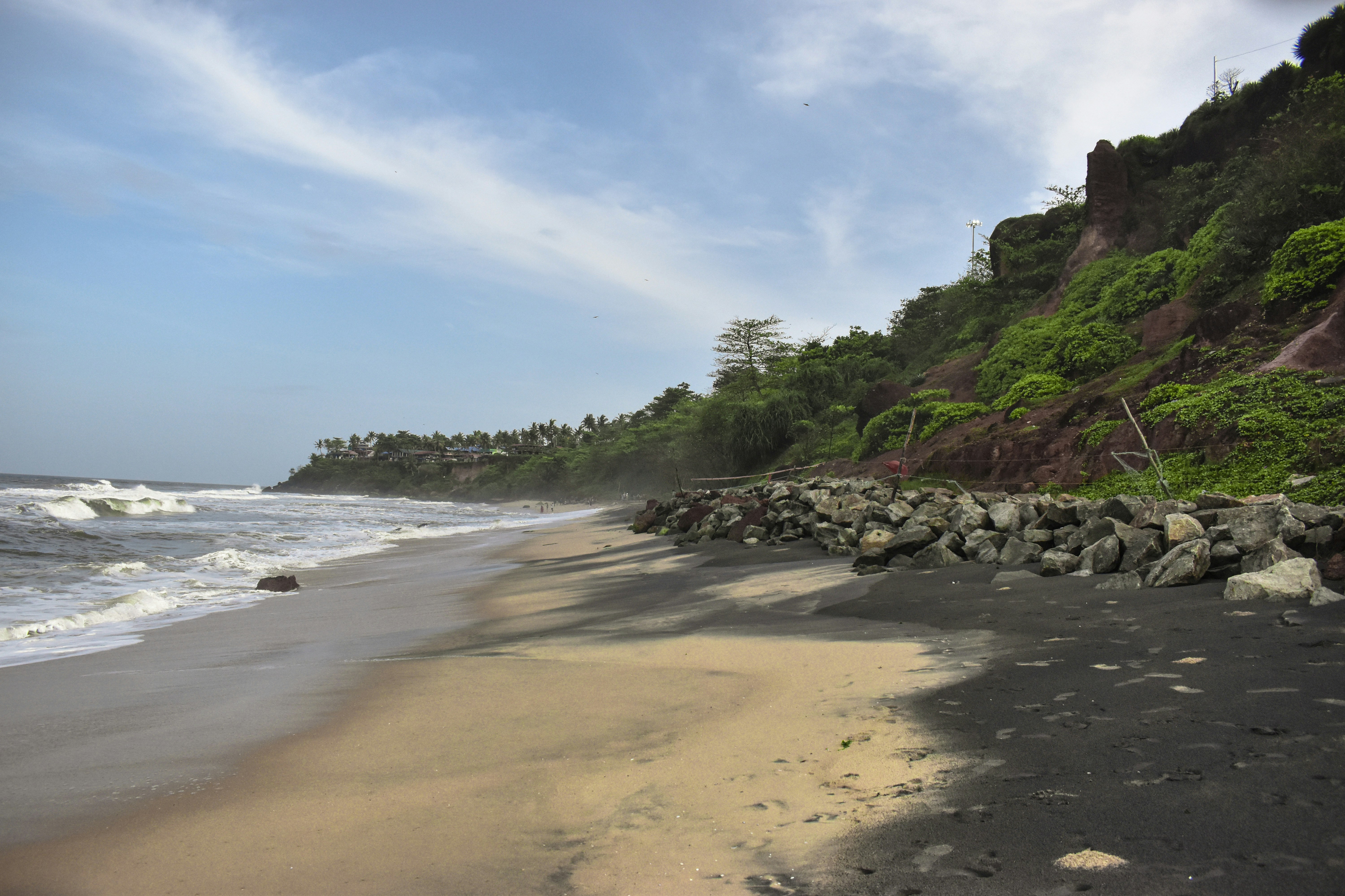 a beach with rocks and trees