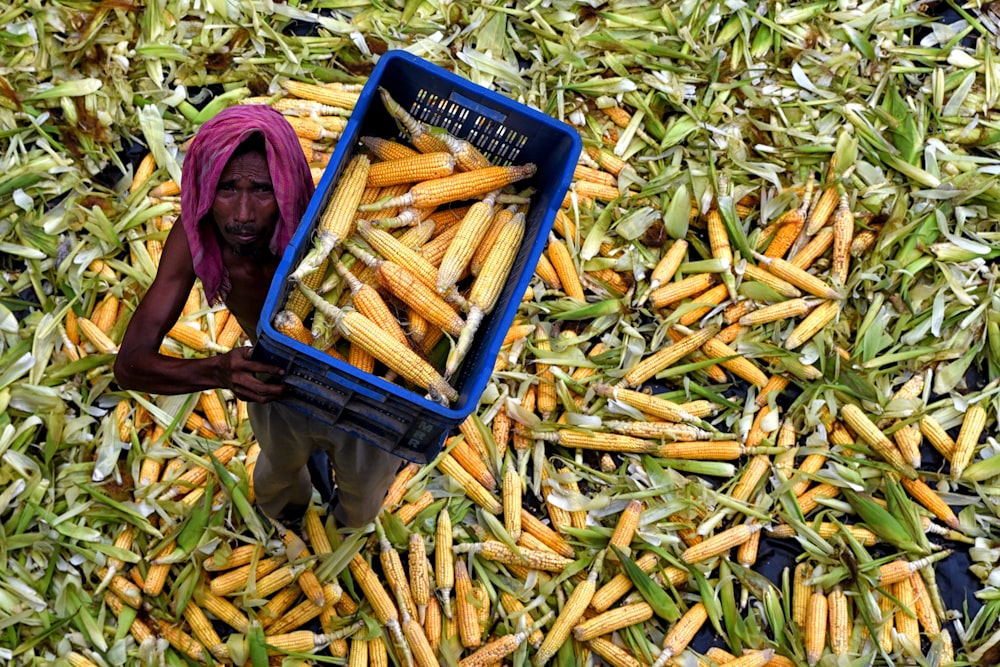 a person in a bucket of corn