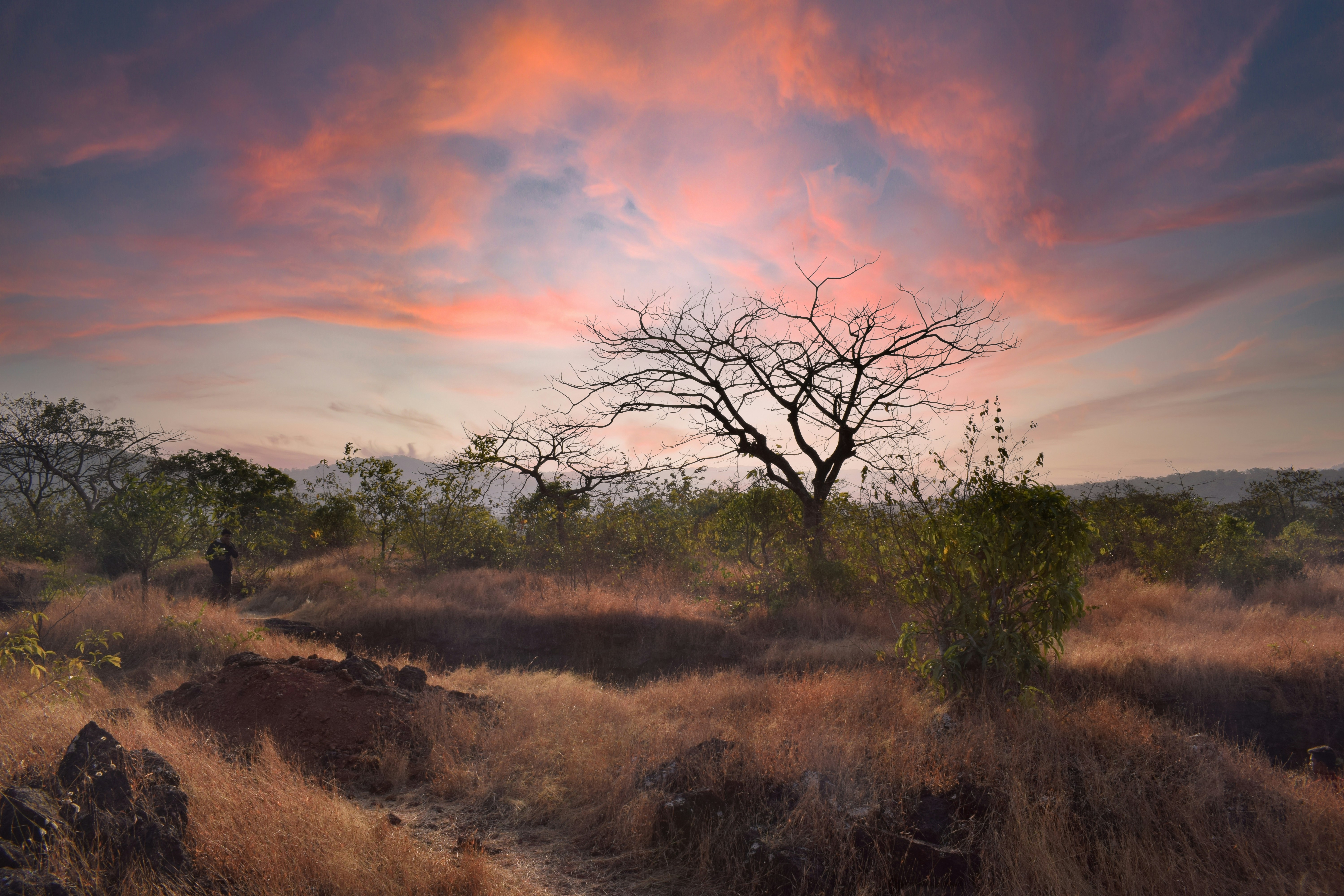 新北市一日遊行程推薦,新北市景點一日遊,新北市一日遊熱門景點,新北市親子一日遊,新北市一日遊美食,新北市一日遊交通指南