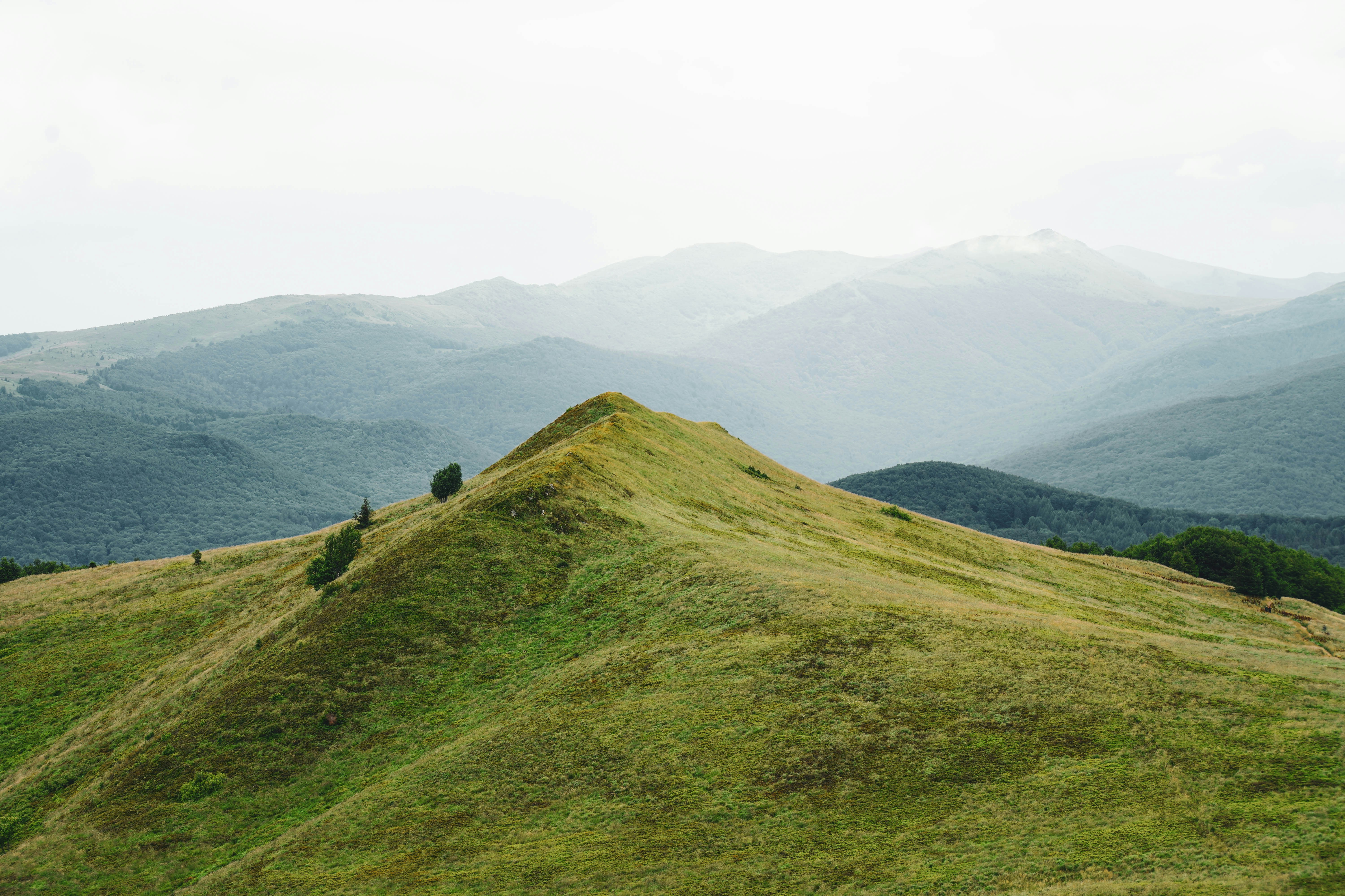 Photo by lesniakkaro